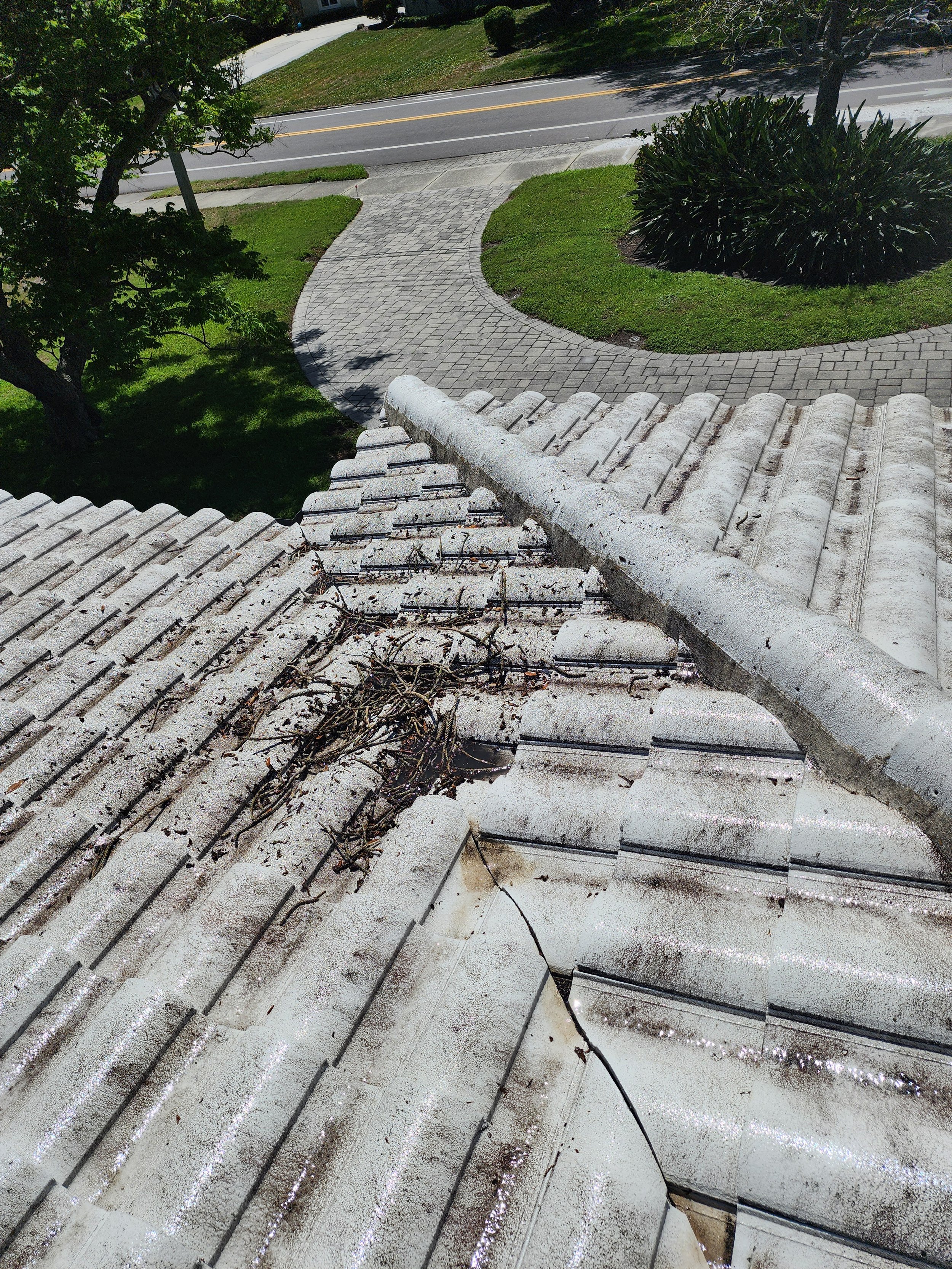 clearwater tile roof soft wash before