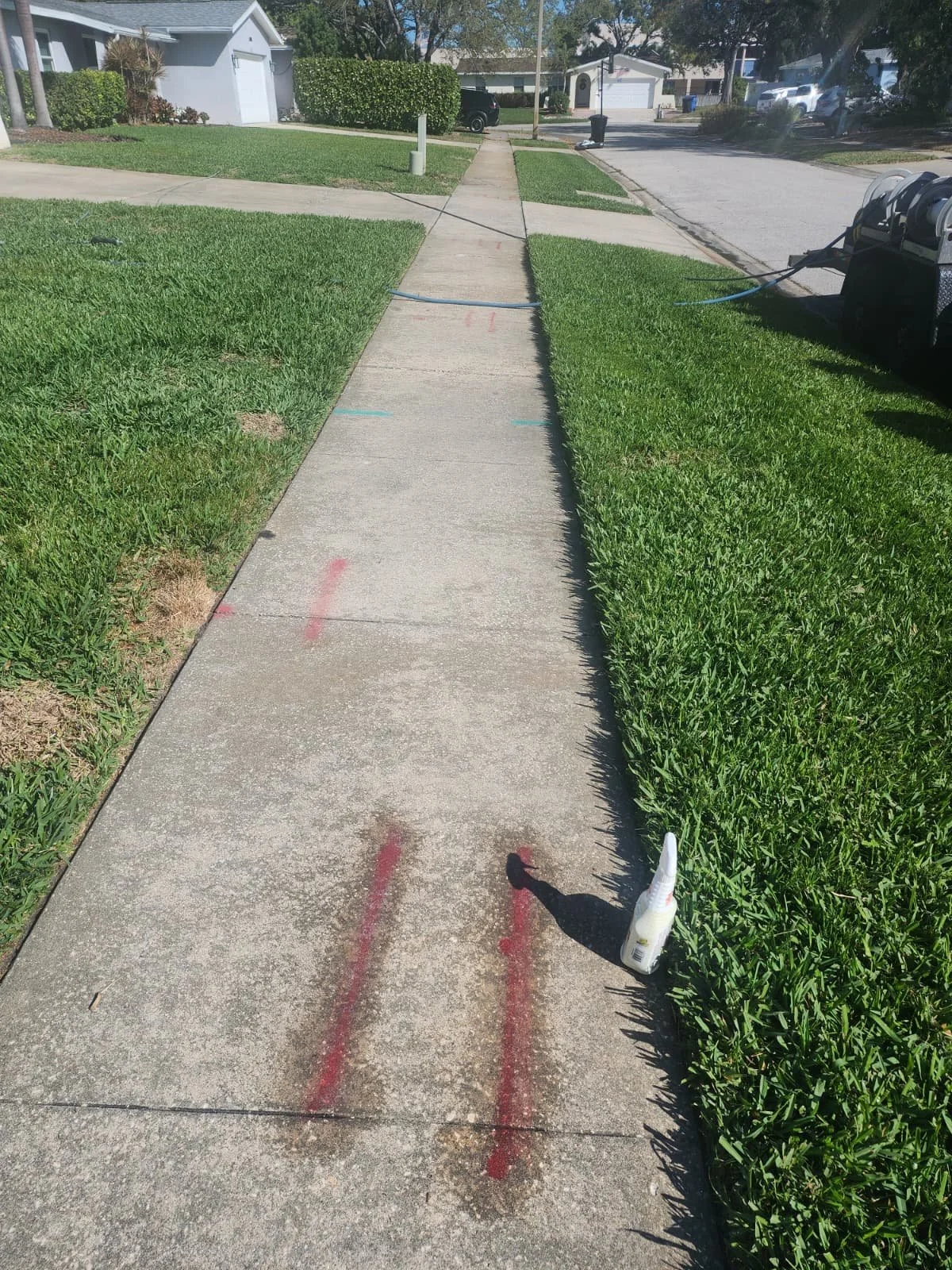shore acres sidewalk marking paint removal before Jungle Nation