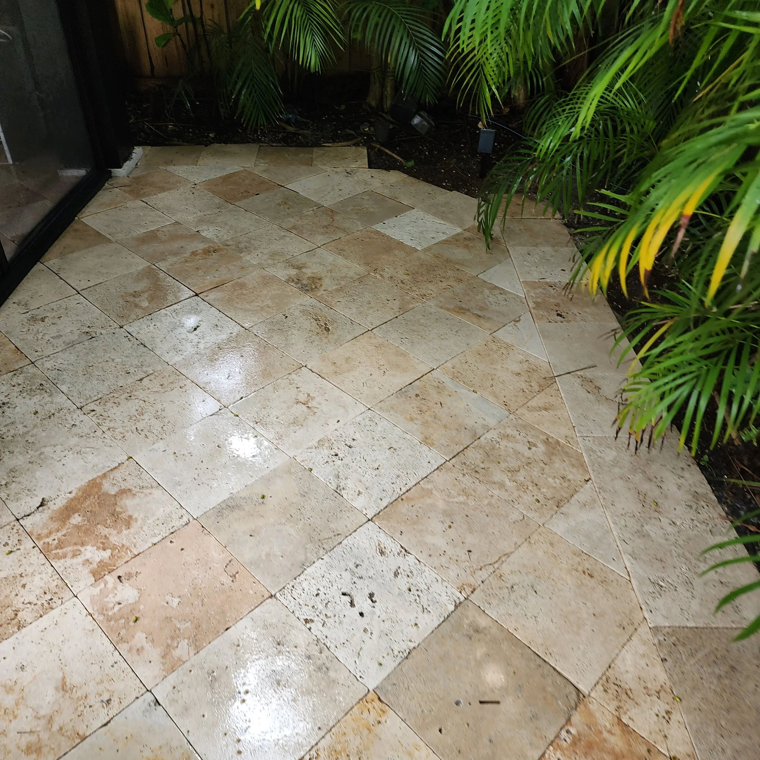 Old SE paver sealing after Jungle Nation