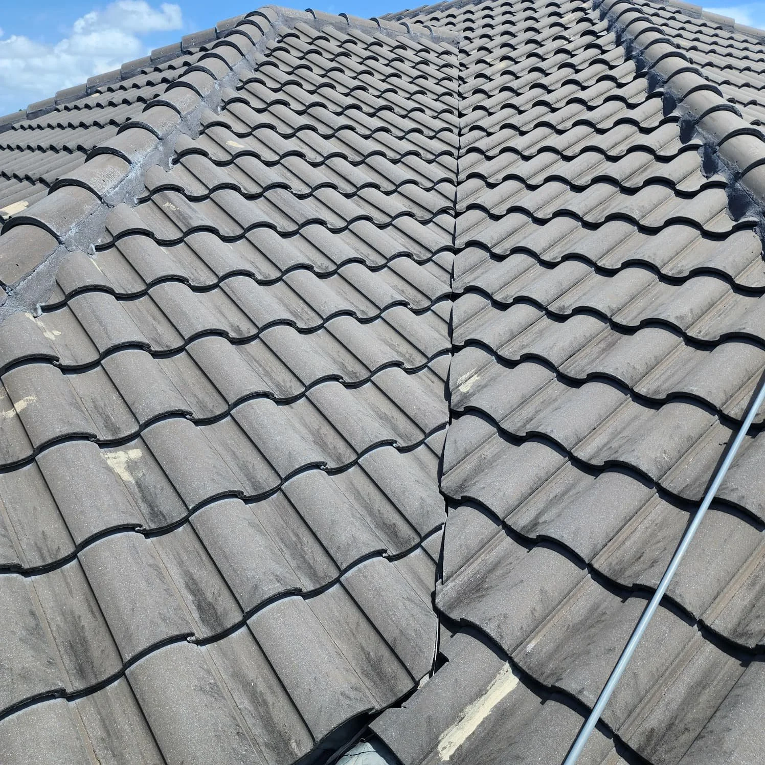 st pete beach grey tile roof soft wash before Jungle Nation