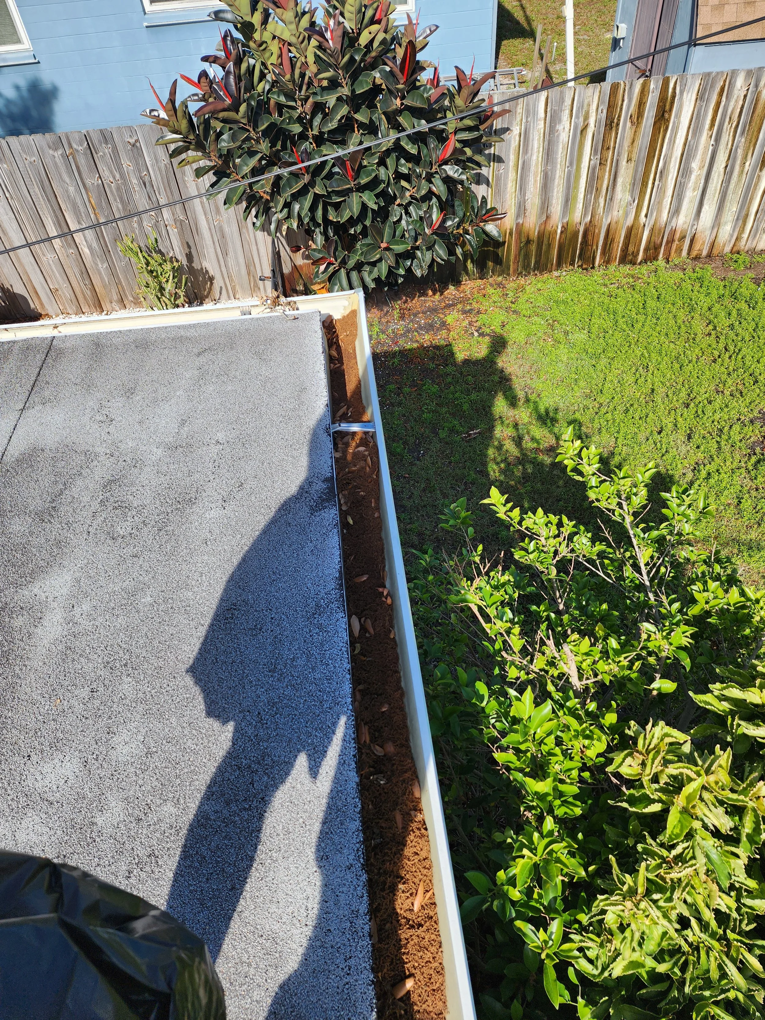 Placido Bayou gutter cleaning before Jungle Nation