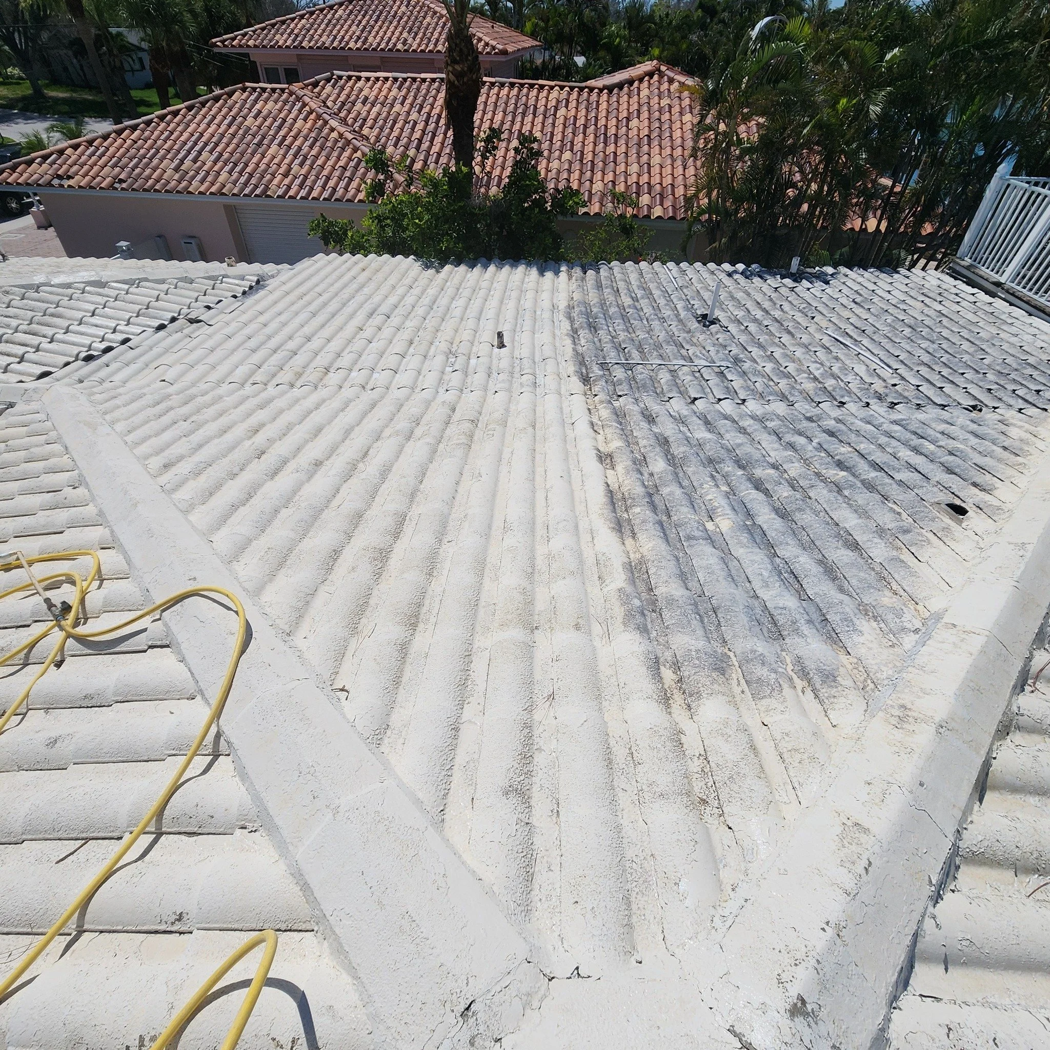Professional roof cleaning in St. Petersburg Florida