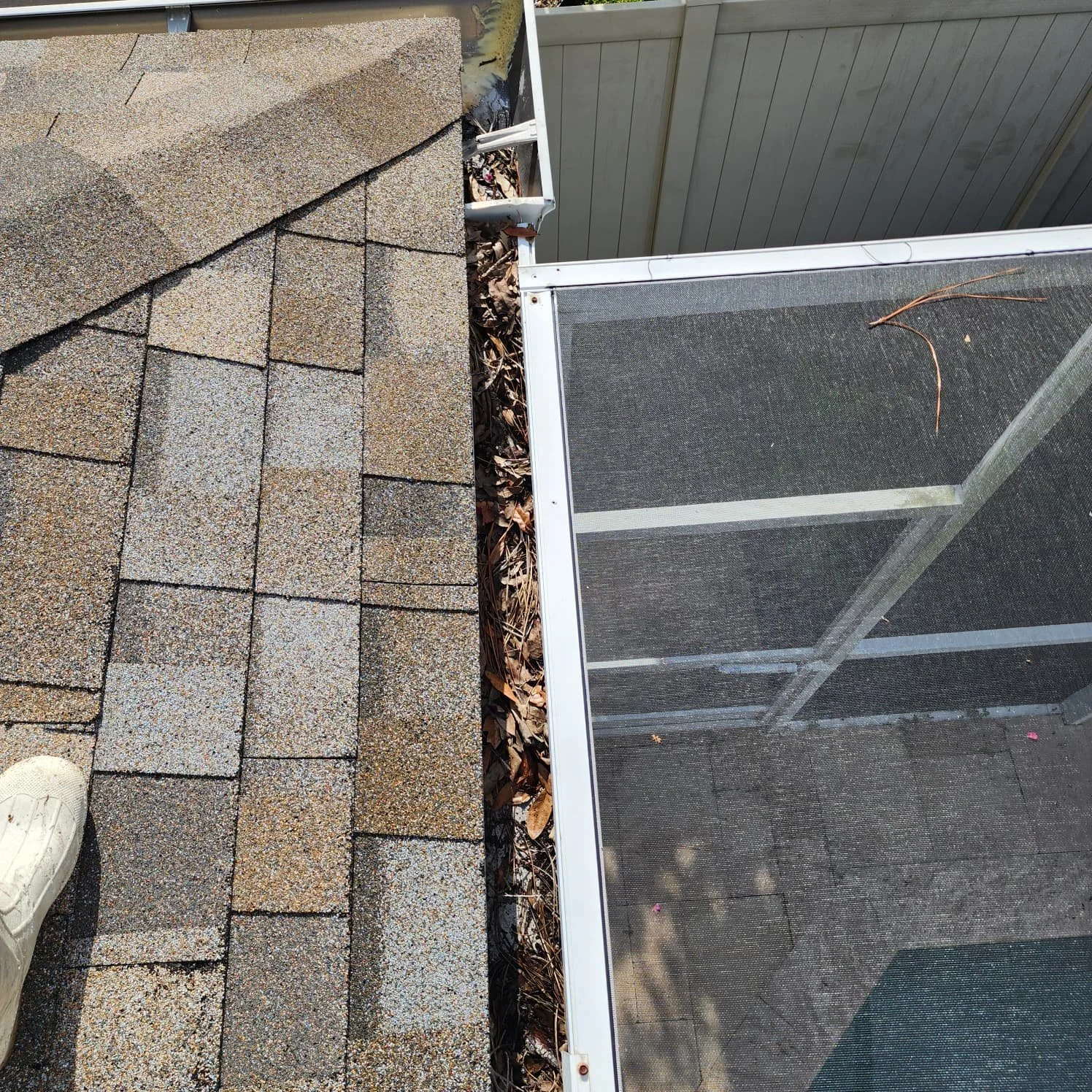 Old SE gutter cleaning before Jungle Nation