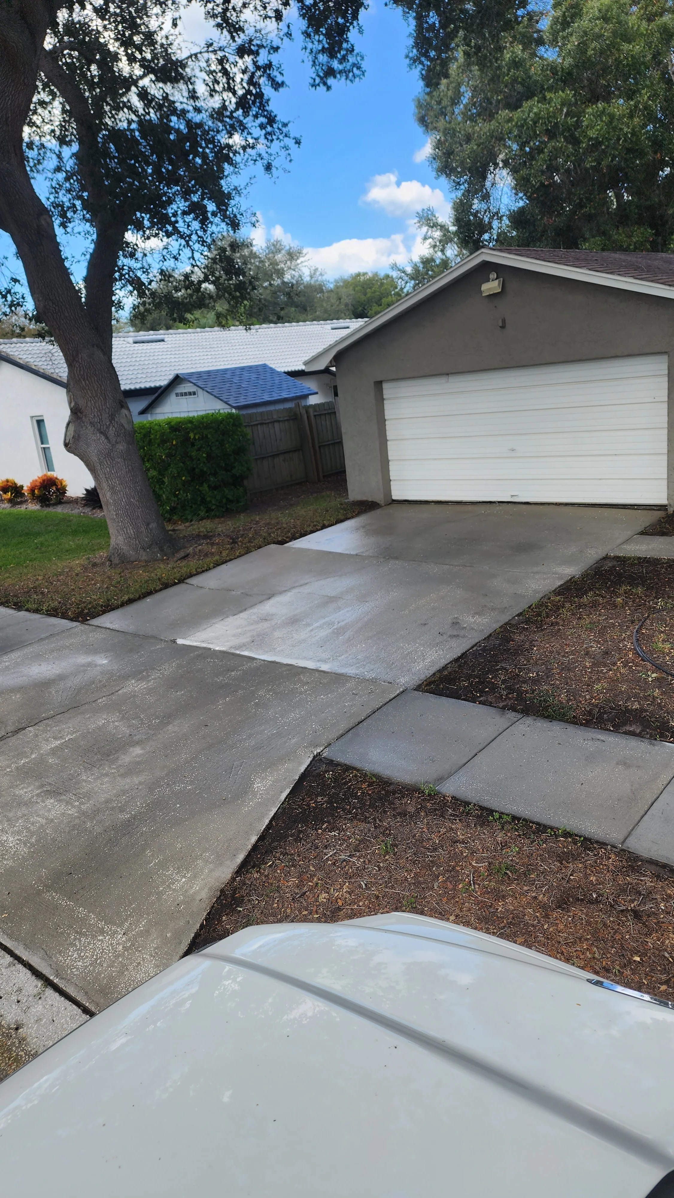 pinellas park driveway pressure washing after Jungle Nation