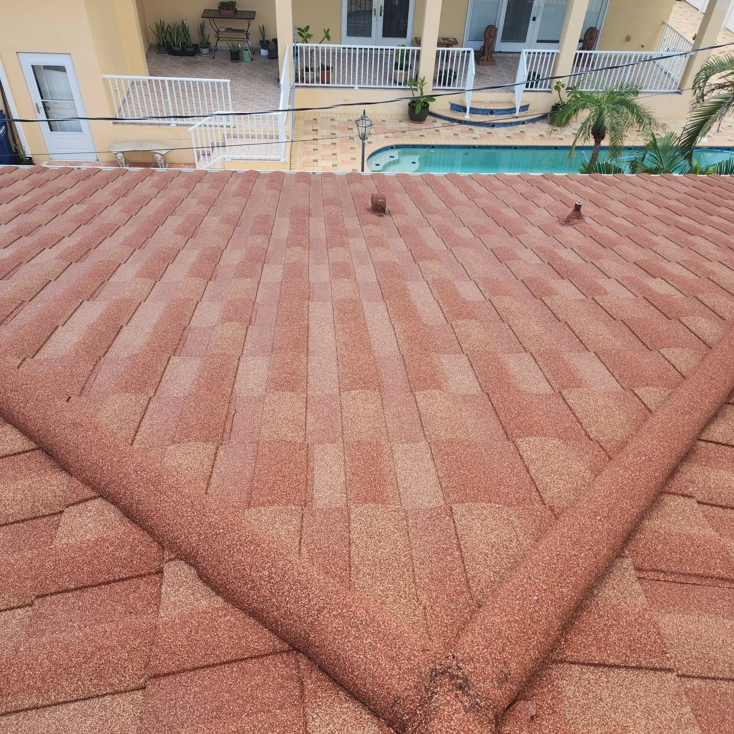Snell Isle St. Pete roof cleaning after Jungle Nation