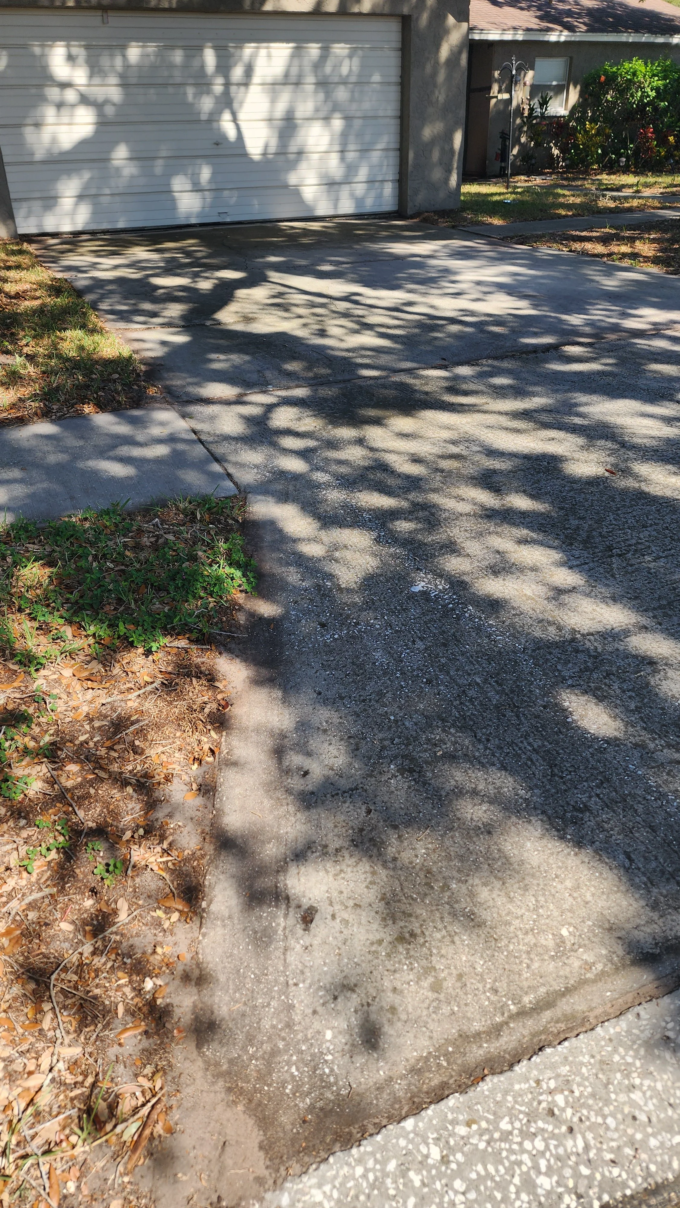 pinellas park driveway pressure washing before Jungle Nation