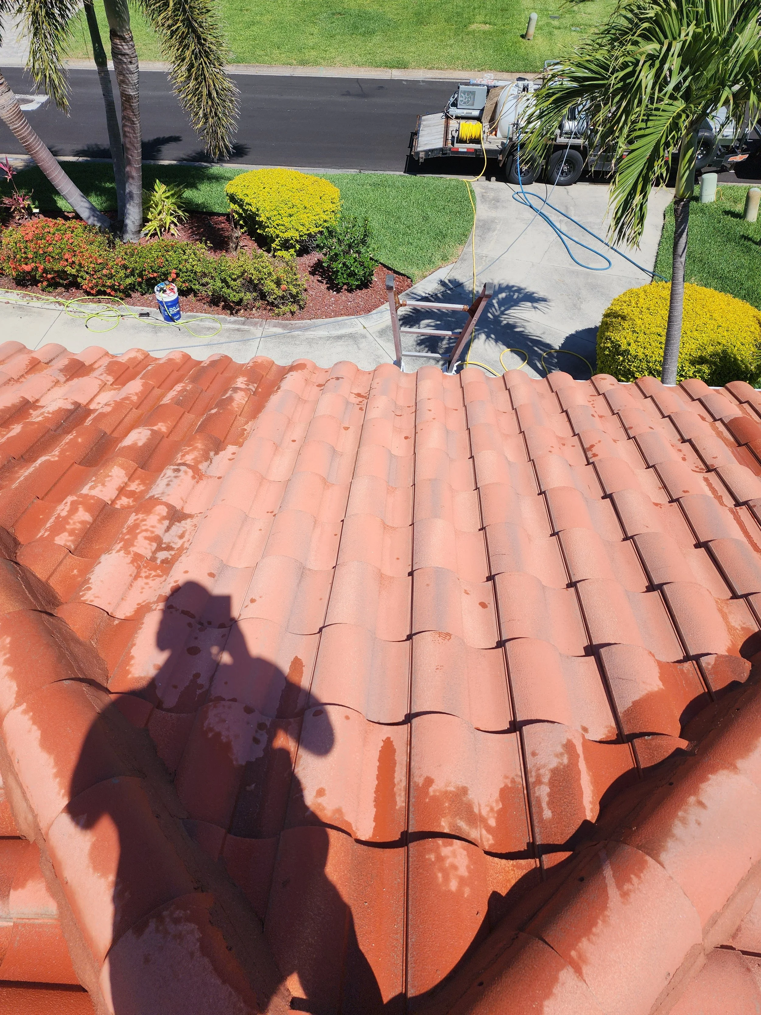snell isle tile roof soft wash after Jungle Nation