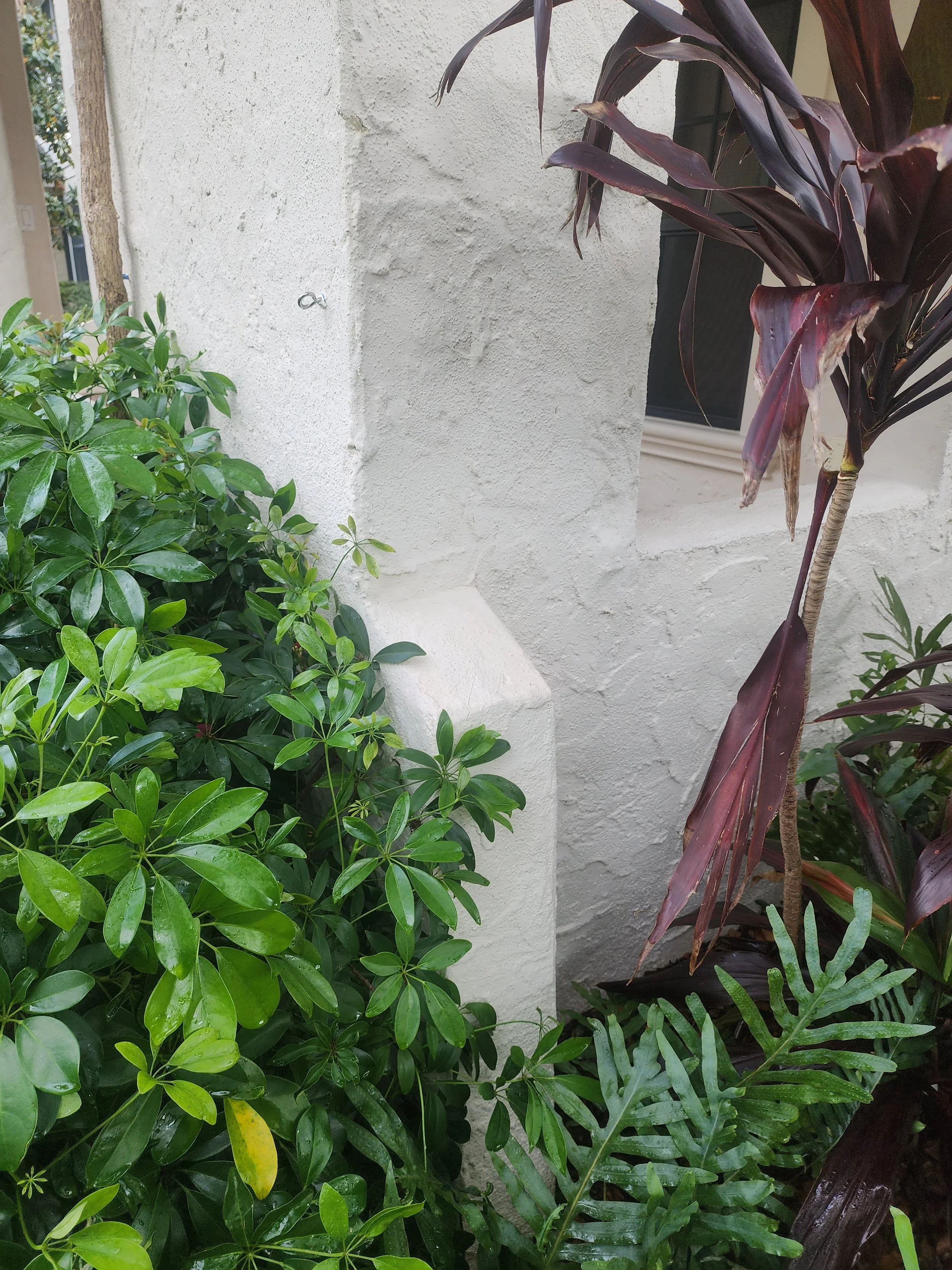 st pete stucco house soft wash before Jungle Nation