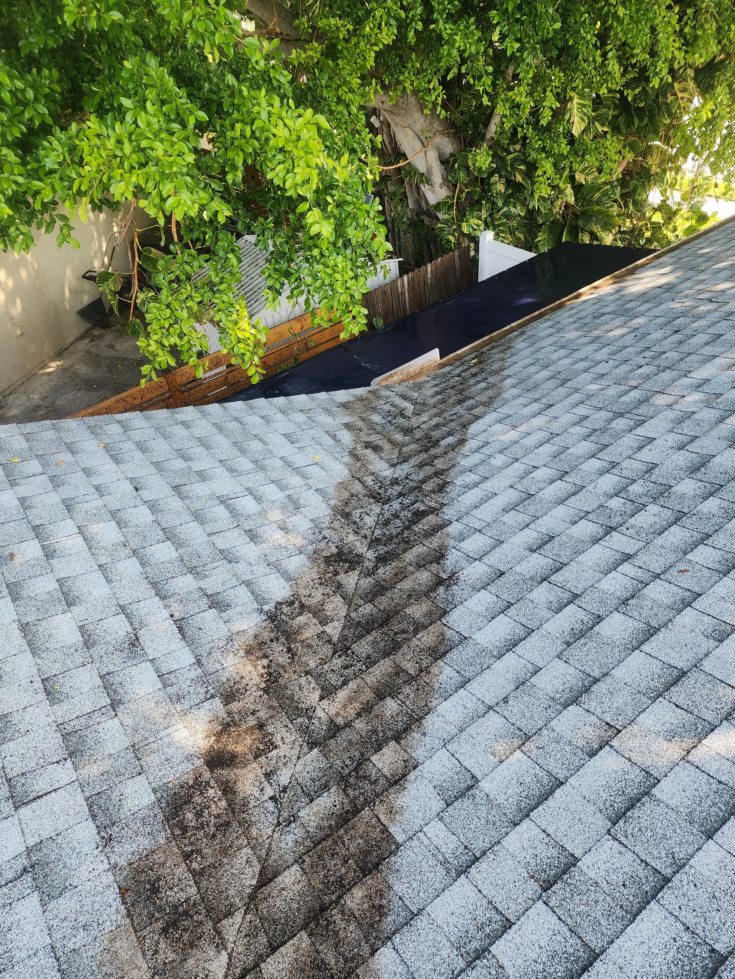 Shore Acres roof debris cleaning after Jungle Nation