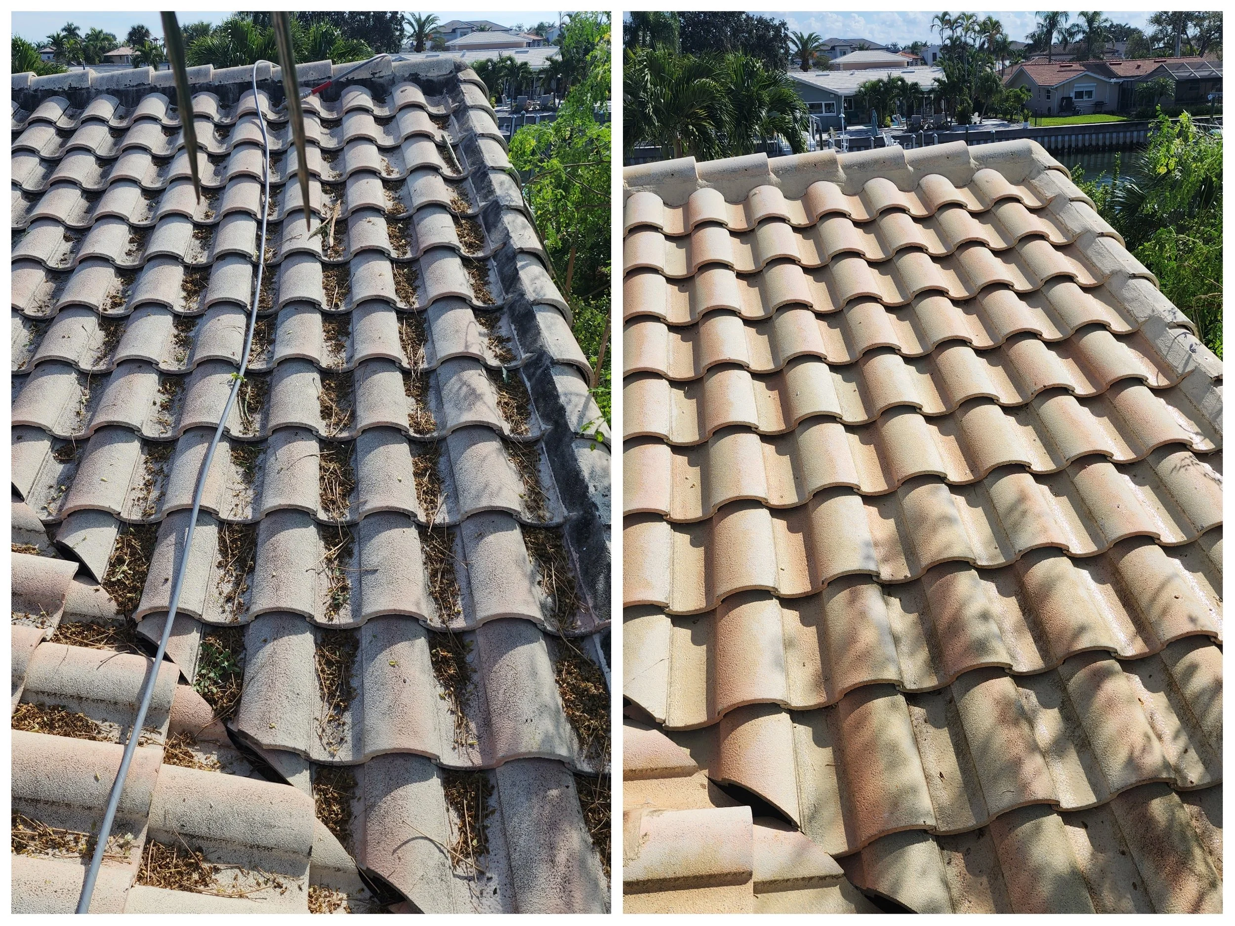 Before and after soft wash tile roof cleaning in Snell Isle, St. Petersburg Florida, showing safe removal of black roof algae
