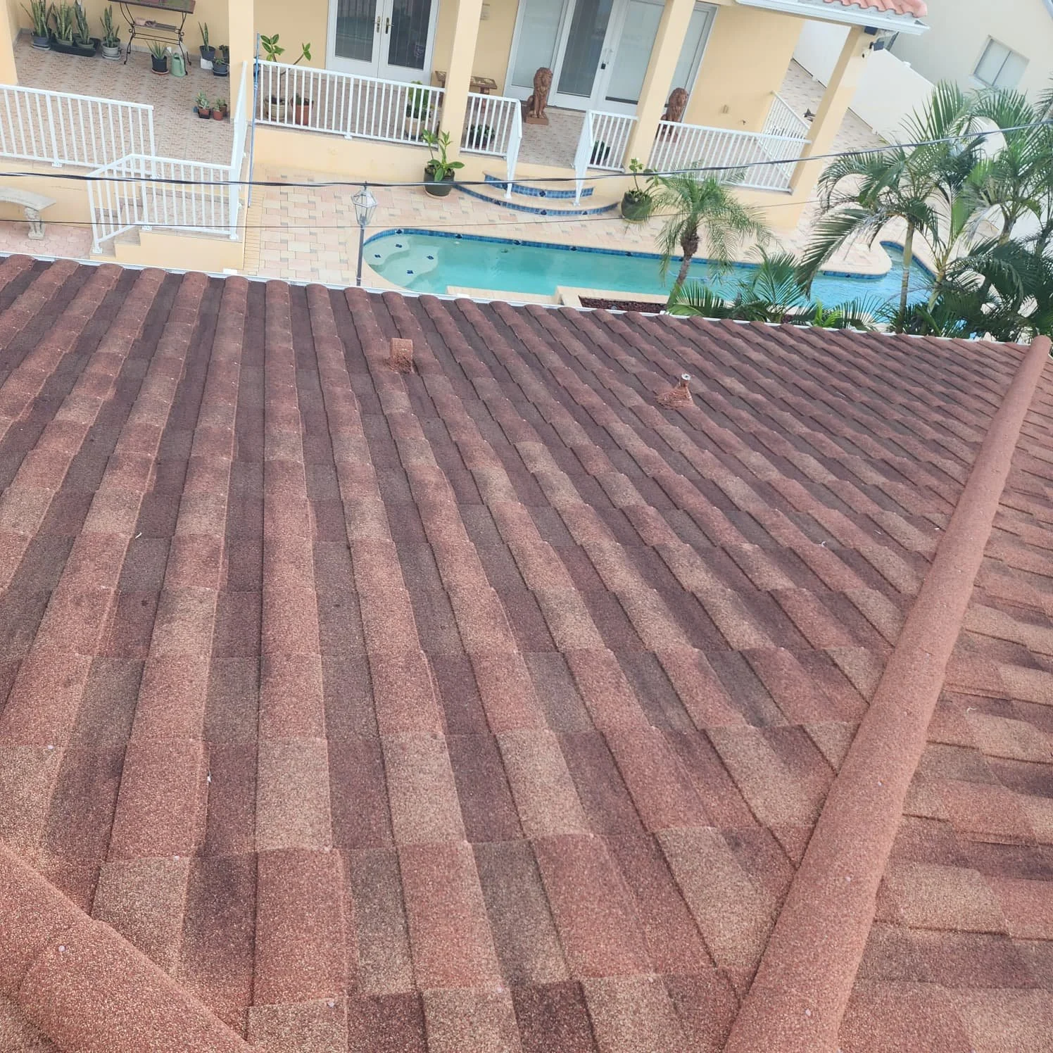 Snell Isle St. Pete roof cleaning before Jungle Nation