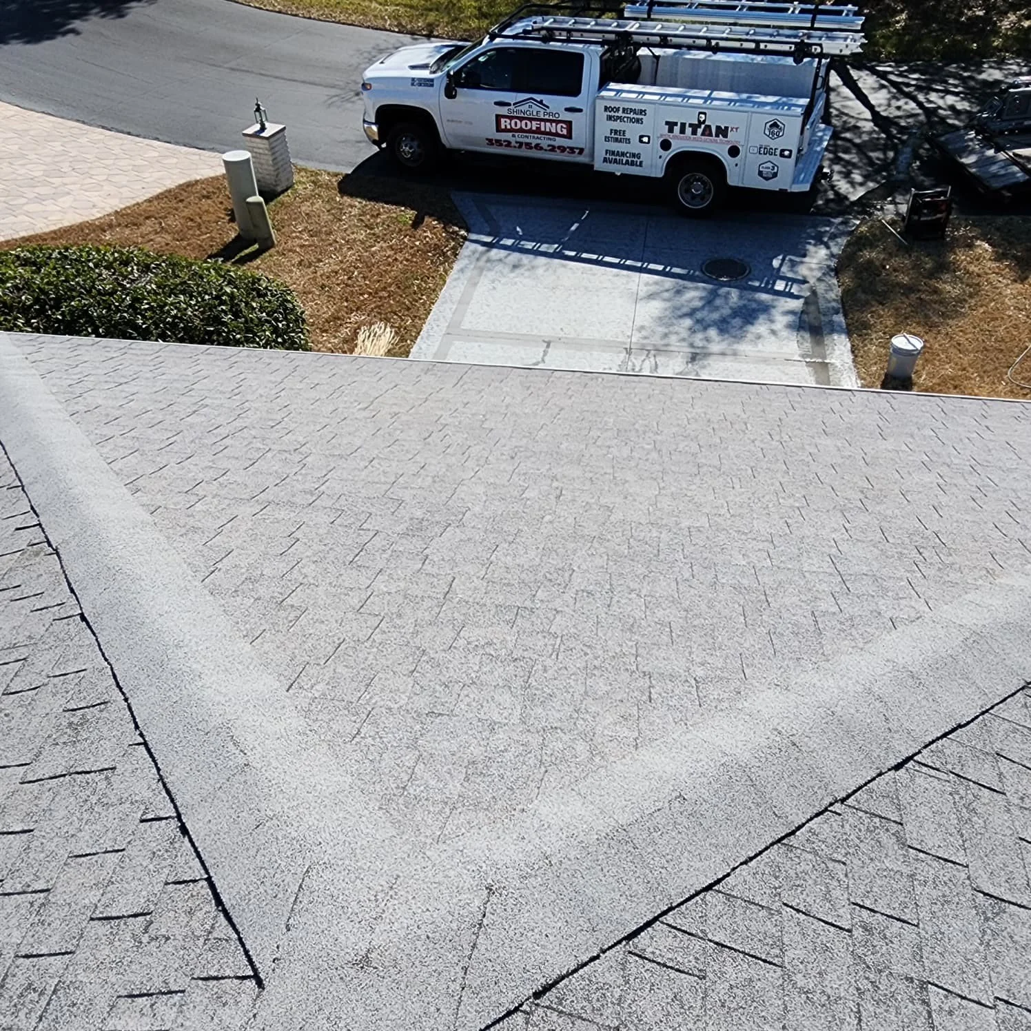St. Petersburg roof cleaning after Jungle Nation
