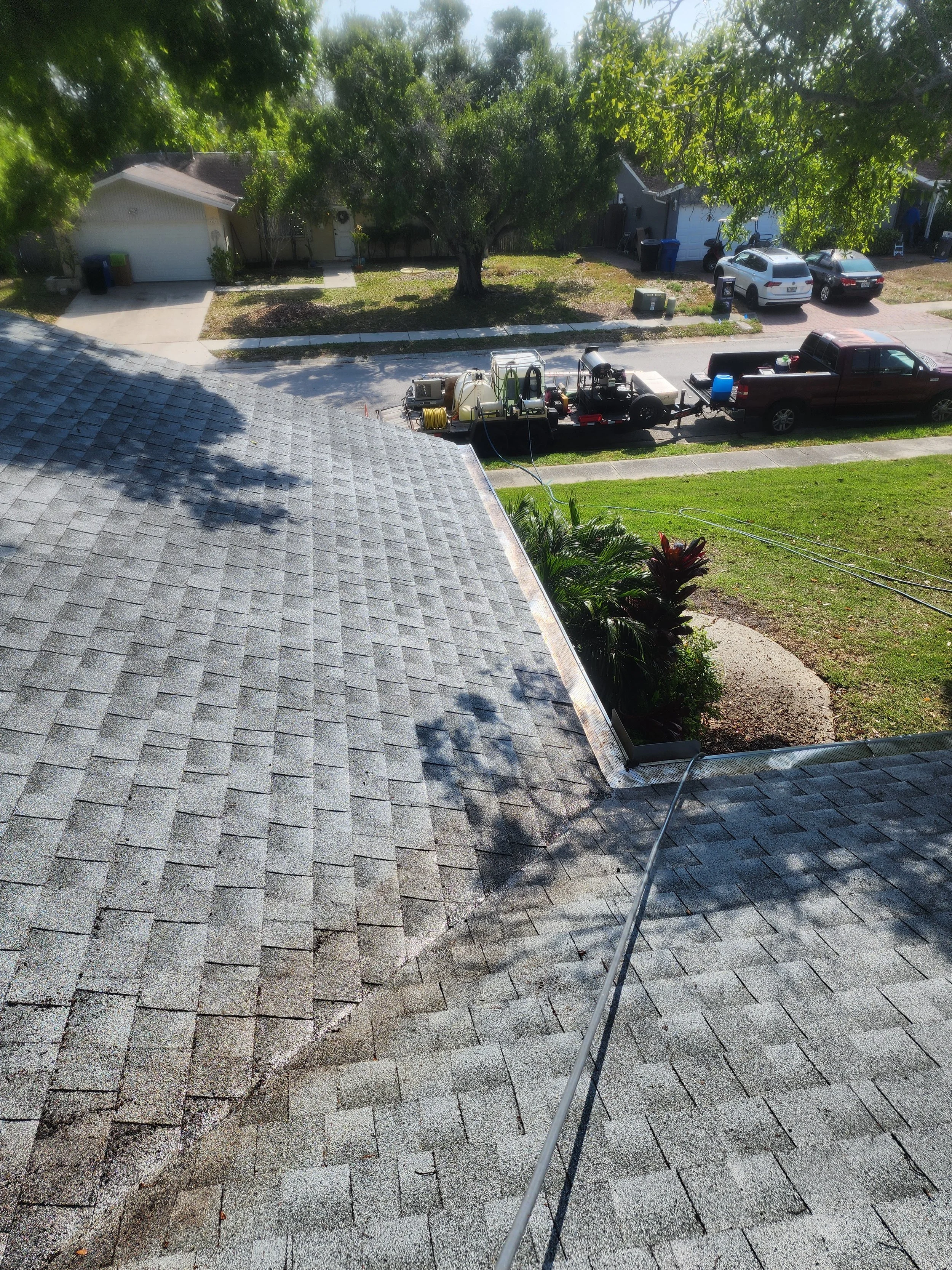 st pete roof leaf debris removal after Jungle Nation