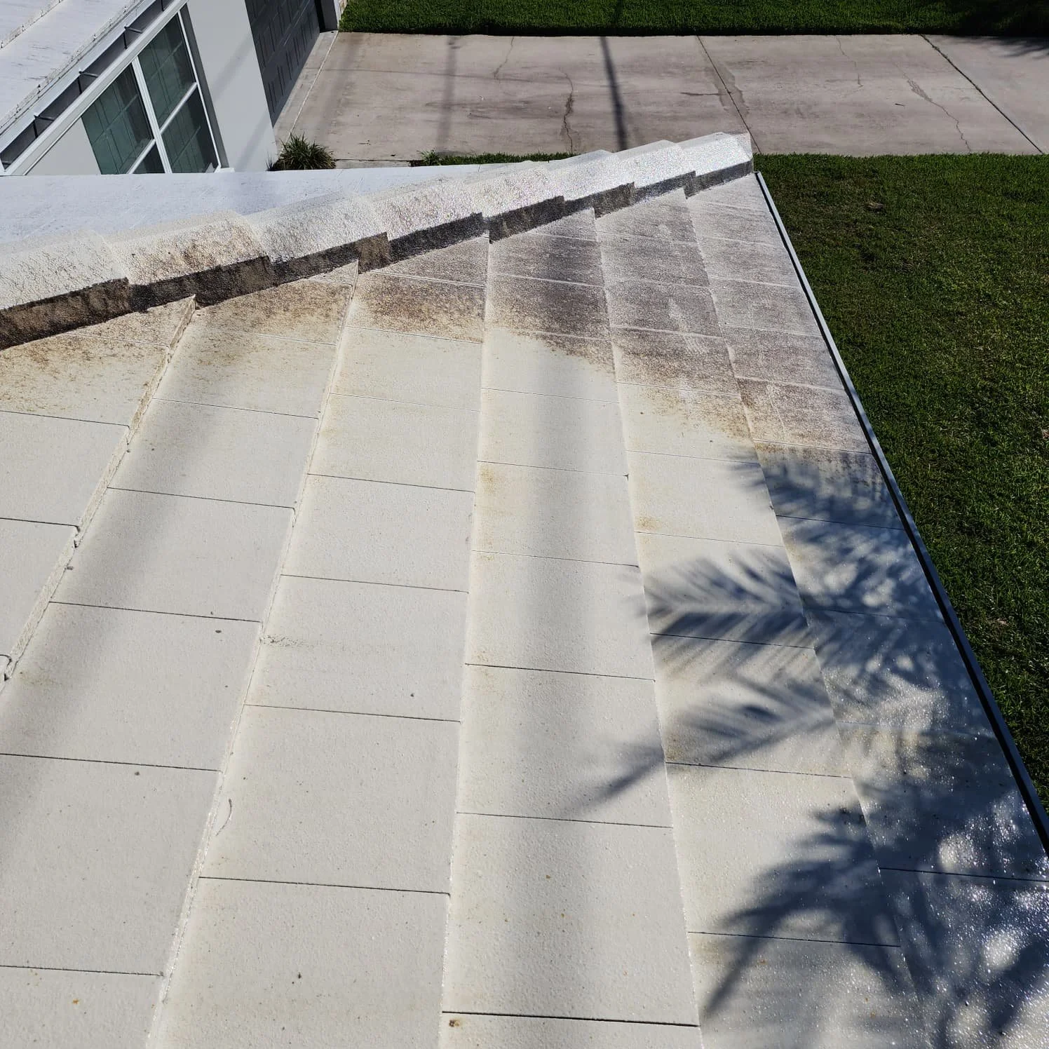 st petersburg tile roof soft wash in progress photo Jungle Nation