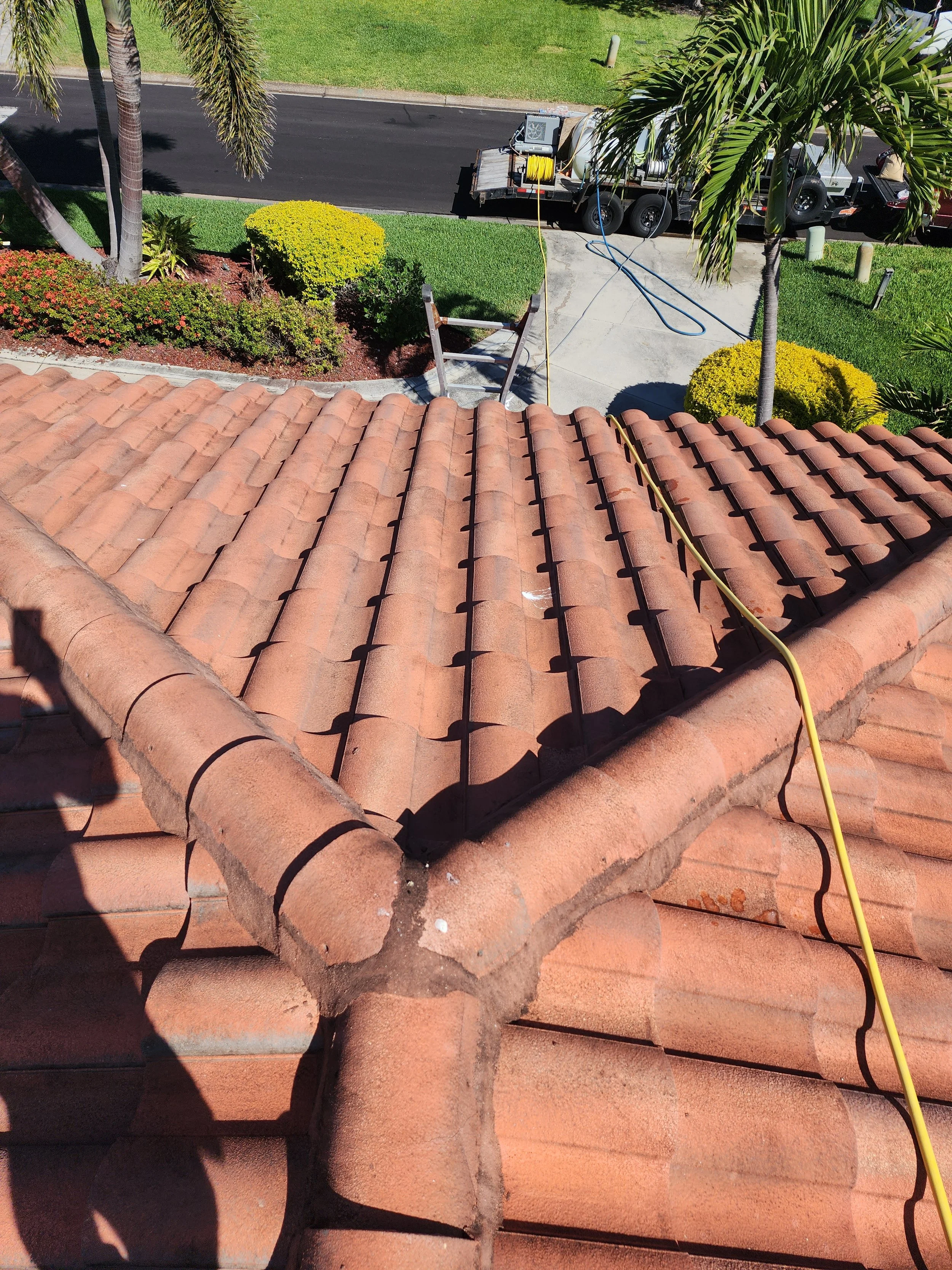 snell isle tile roof soft wash before Jungle Nation