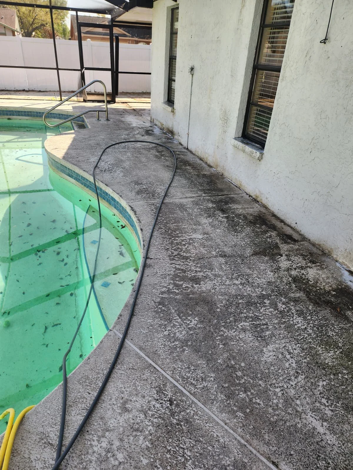 dunedin pool deck pressure wash before Jungle Nation
