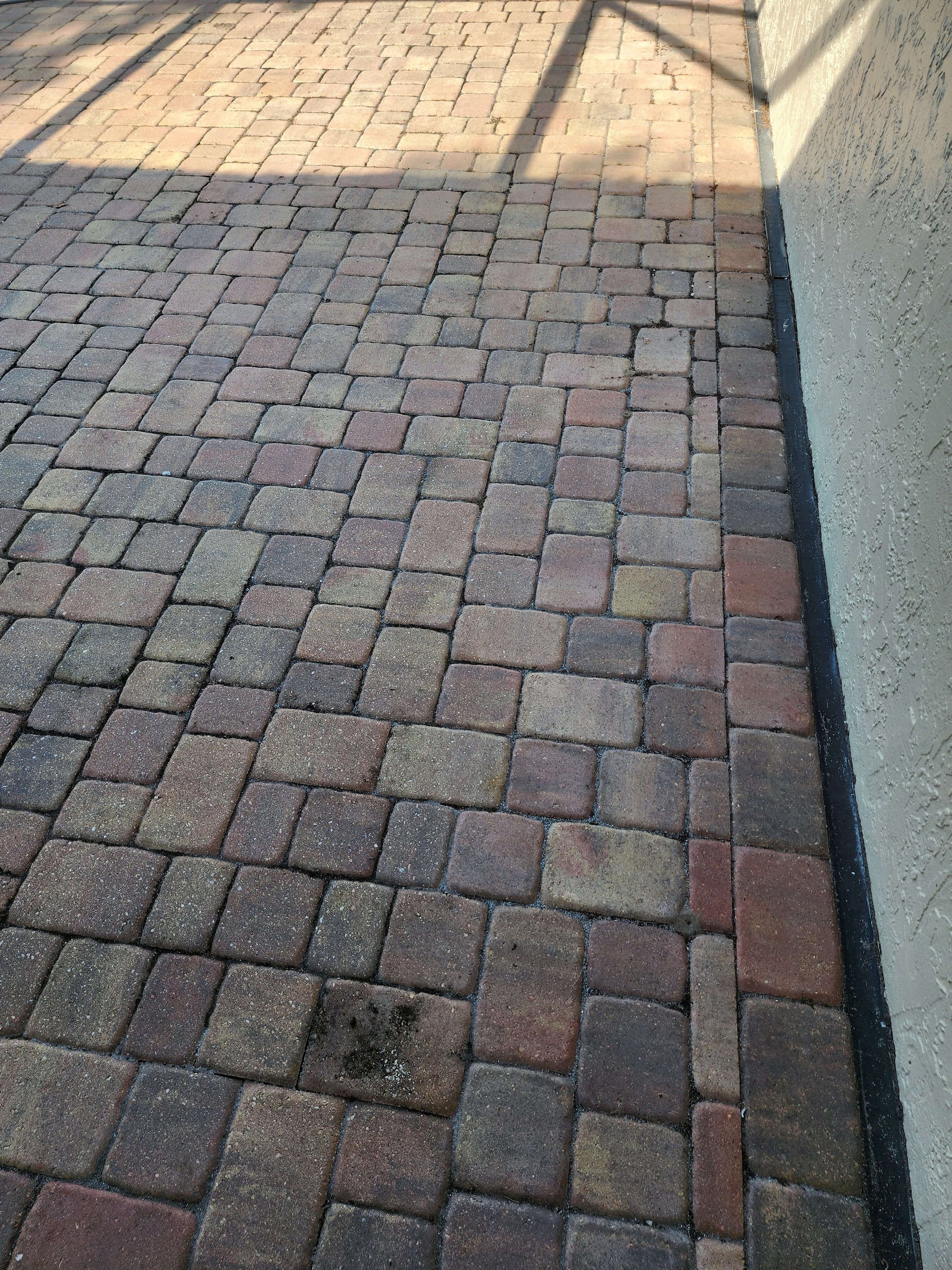 St Pete Paver sand and seal before Jungle Nation