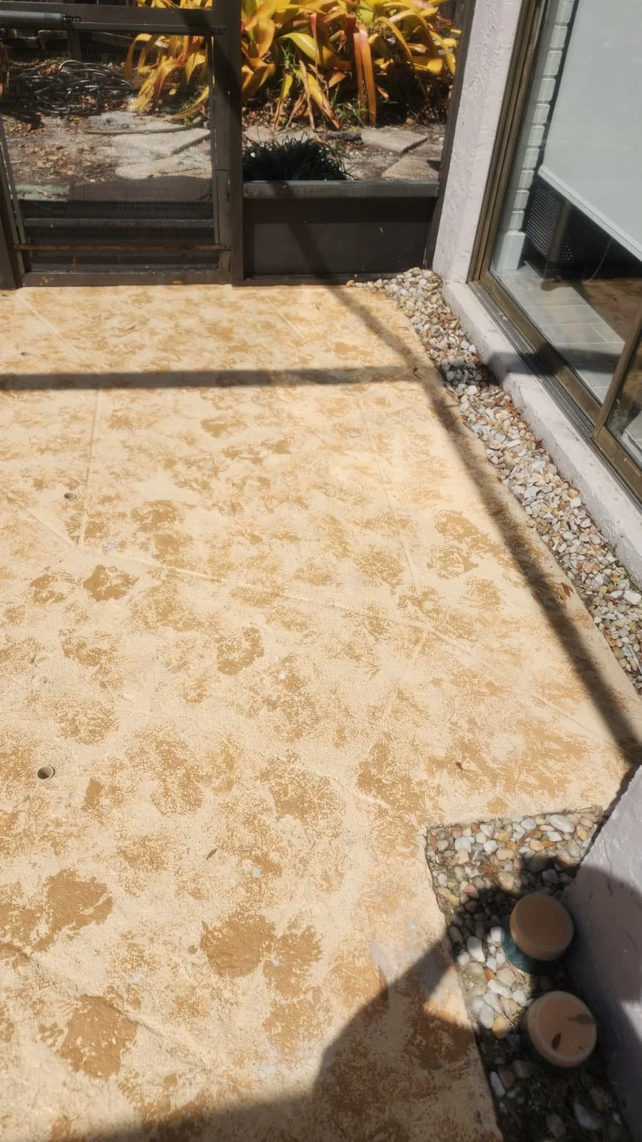belleair bluffs pool deck pressure wash after Jungle Nation