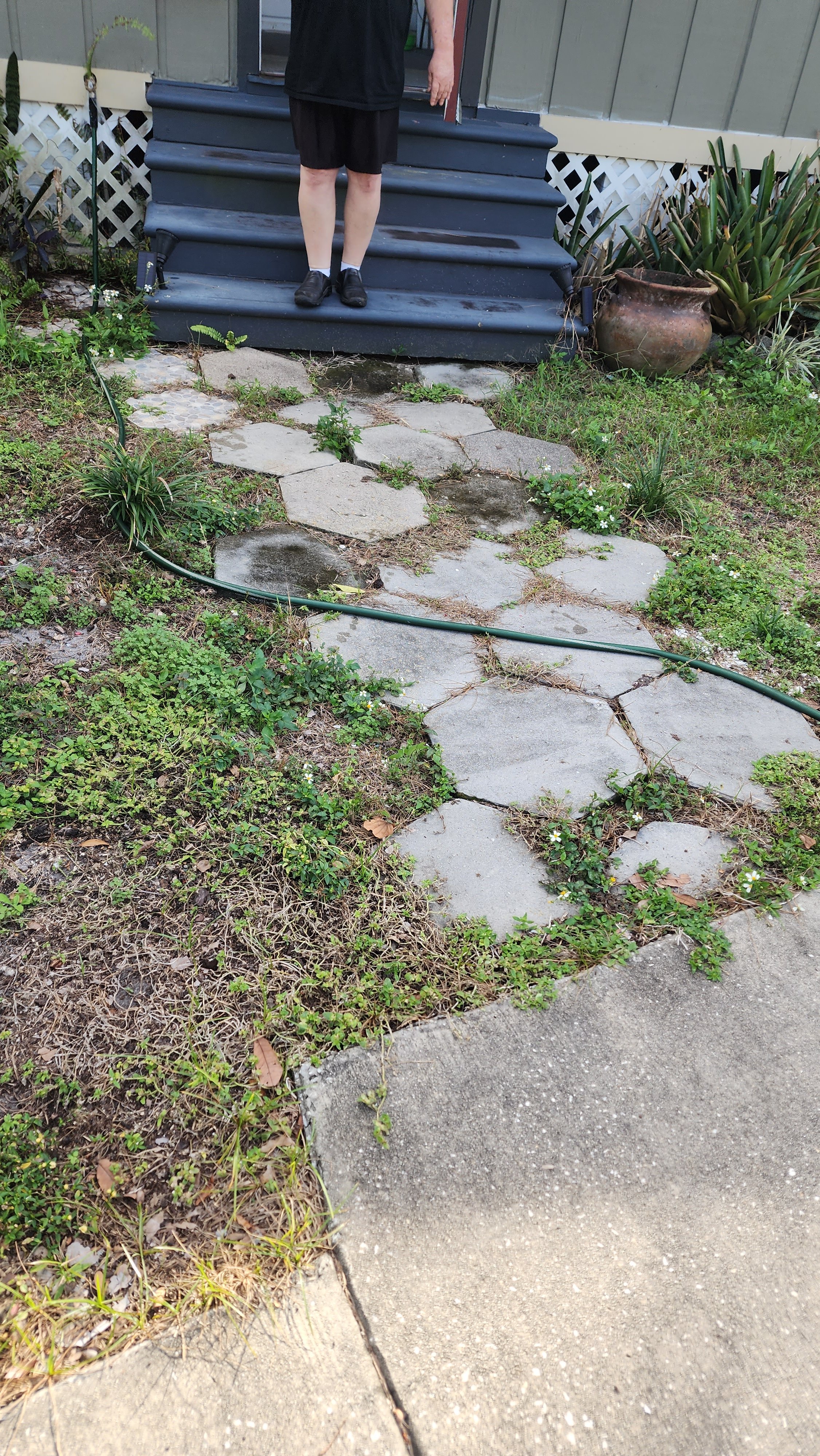 Old NE paver entry way pressure washing before Jungle Nation