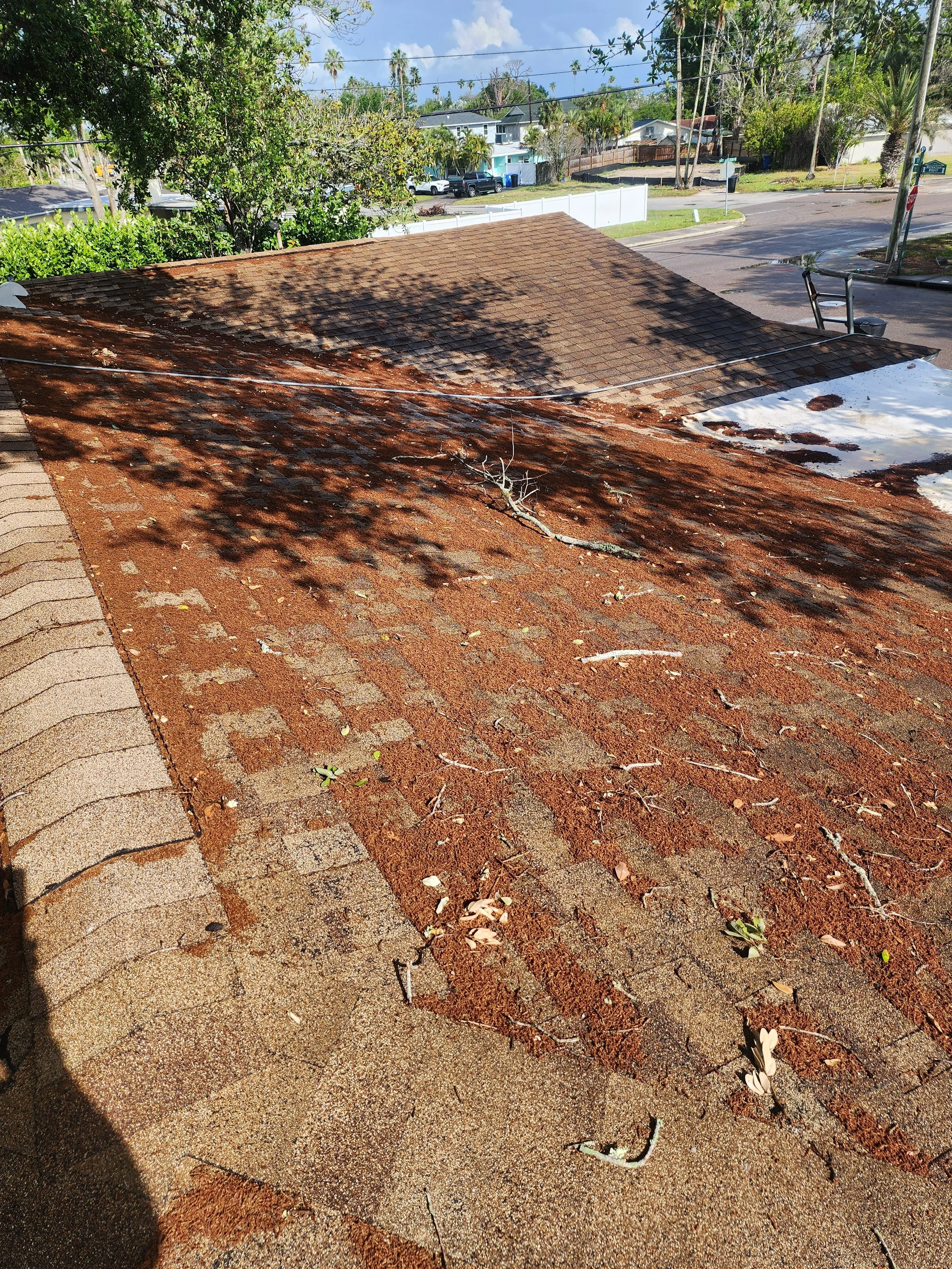 shore acres roof debris removal before