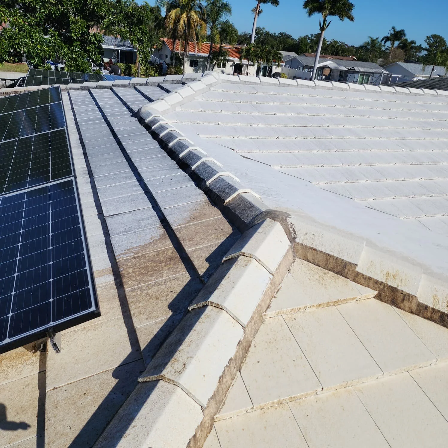 st pete tile roof soft wash in progress photo