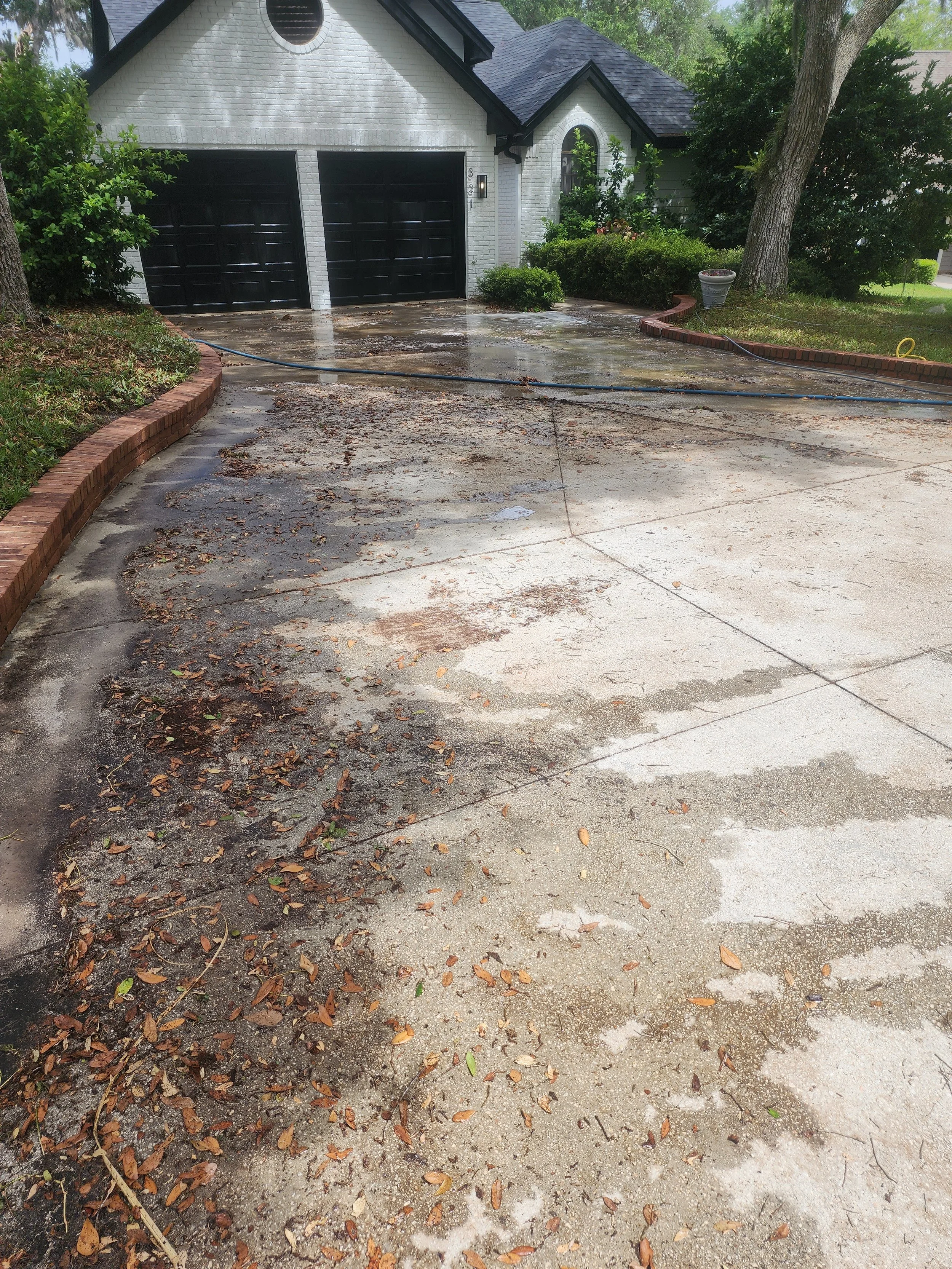 Old Northeast St. Pete driveway pressure washing before Jungle Nation