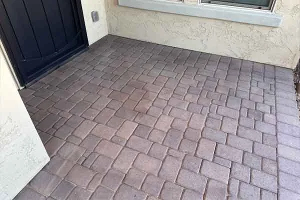 St Petersburg paver sealing before Jungle Nation