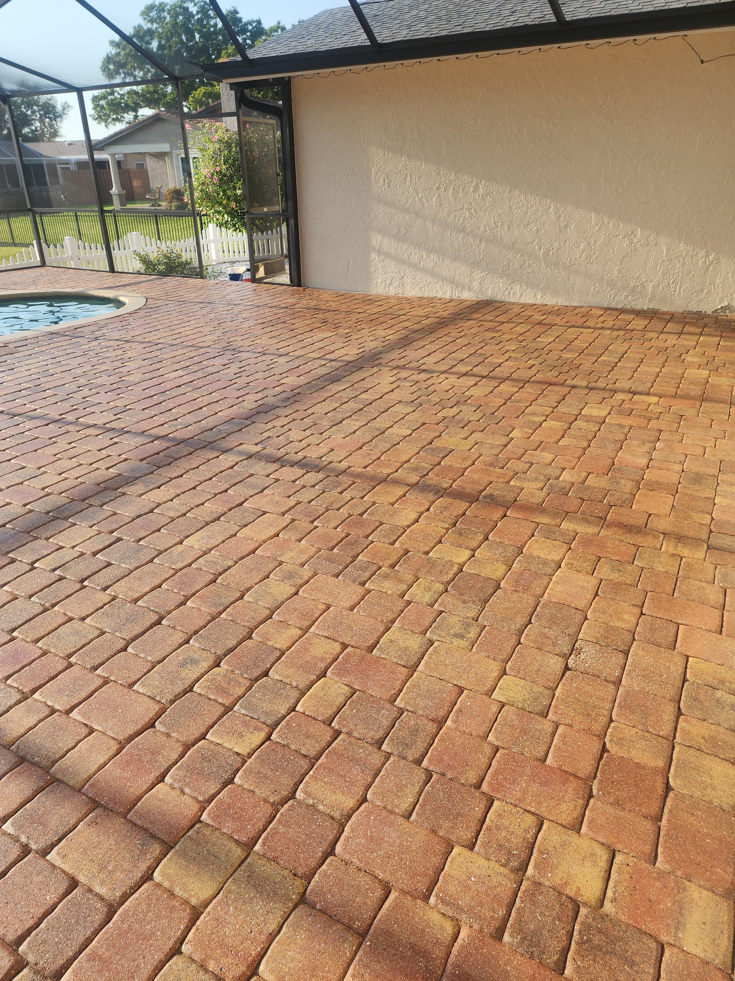 St Pete Paver sand and seal after Jungle Nation