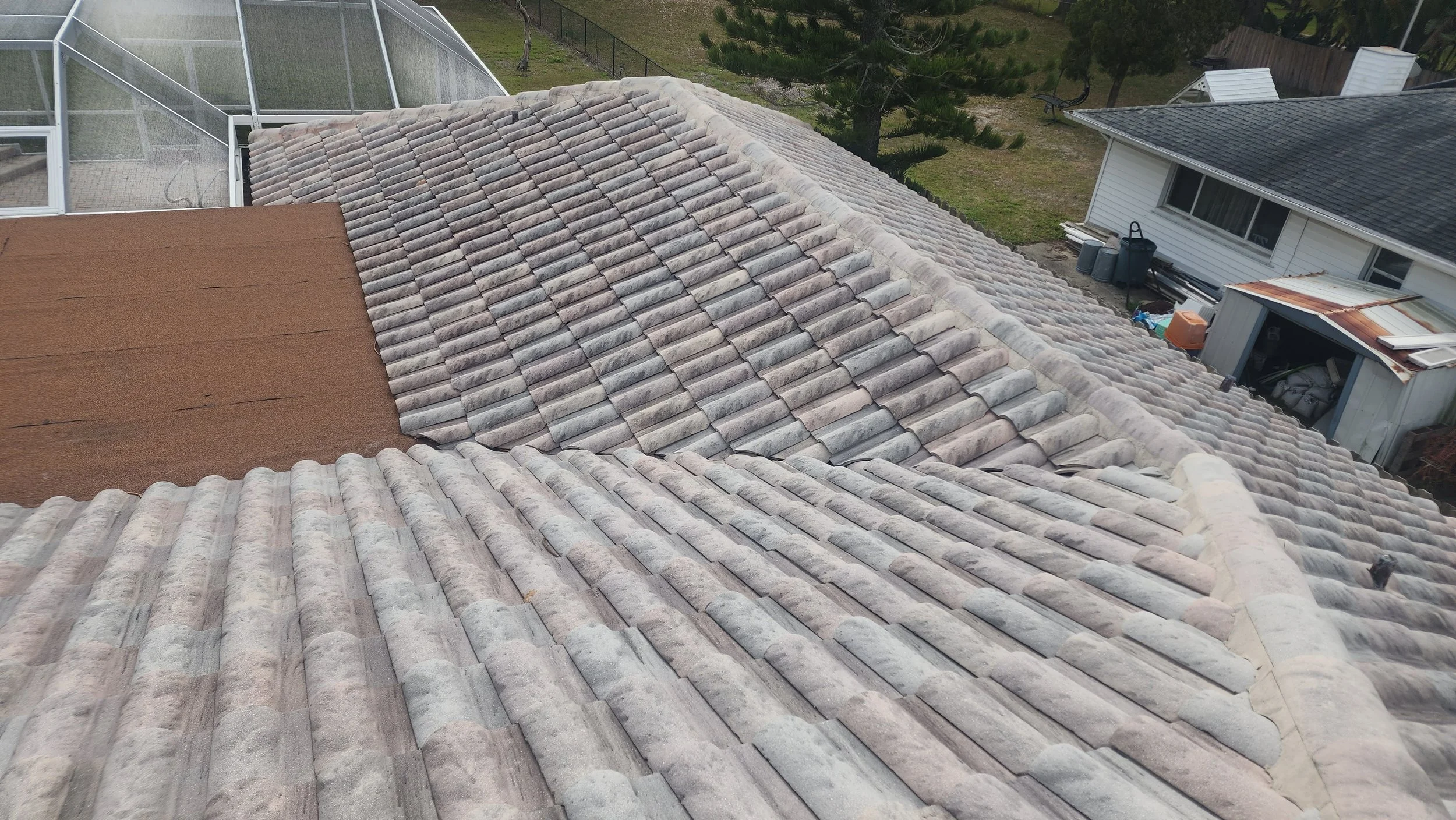 st pete roof soft wash before Jungle Nation