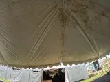 seminole canopy tent pressure washing before