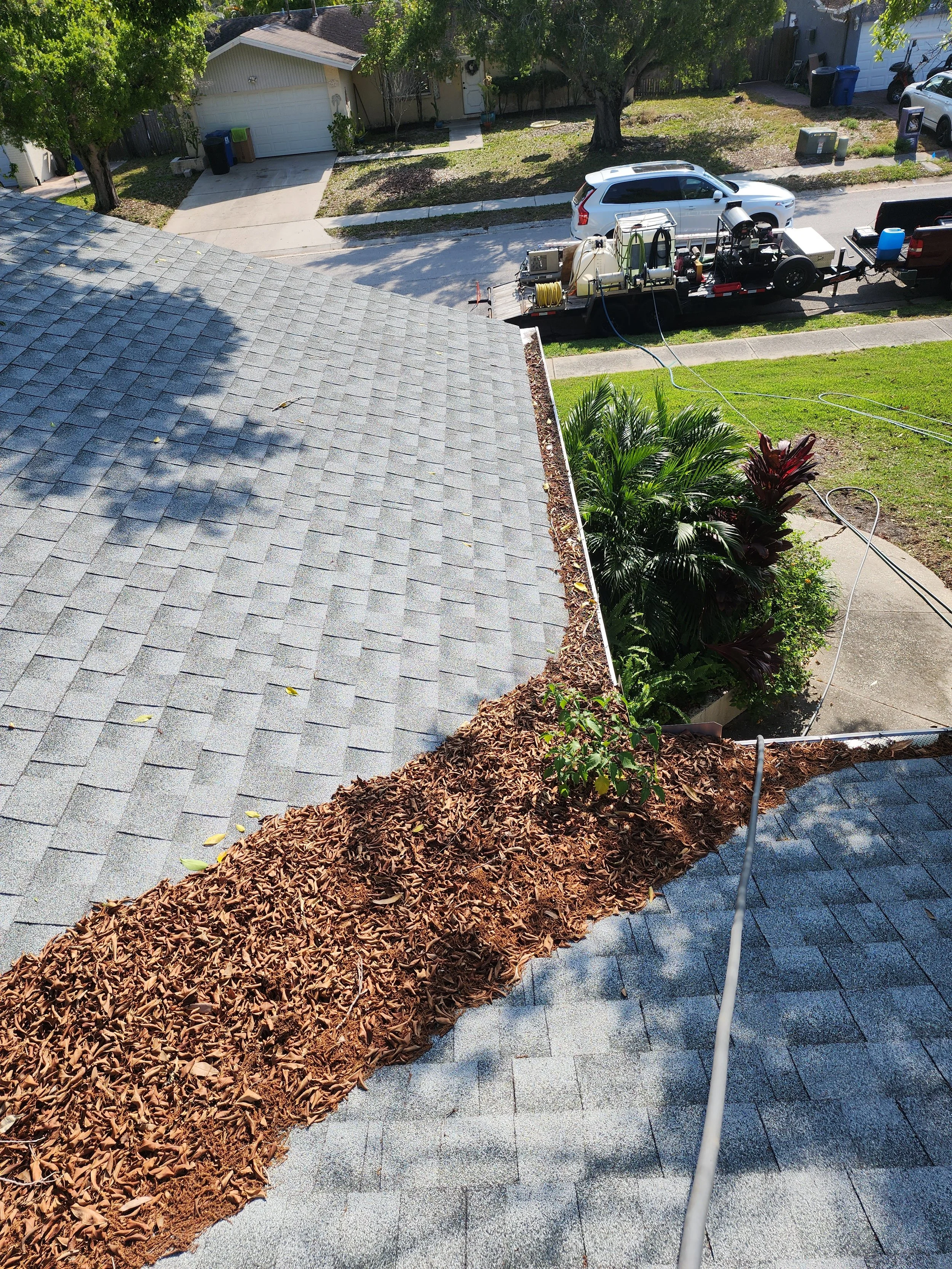 st pete roof leaf debris removal before Jungle Nation