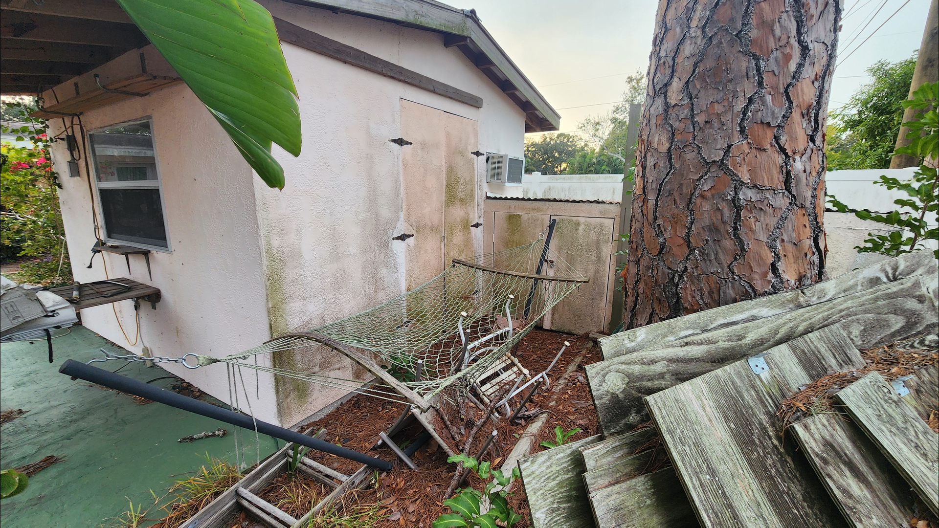 pinellas park shed house wash before