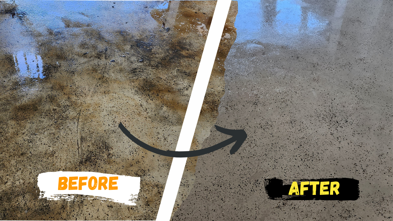 Before and After oil spill removal by Jungle Nation in St. Petersburg, Florida