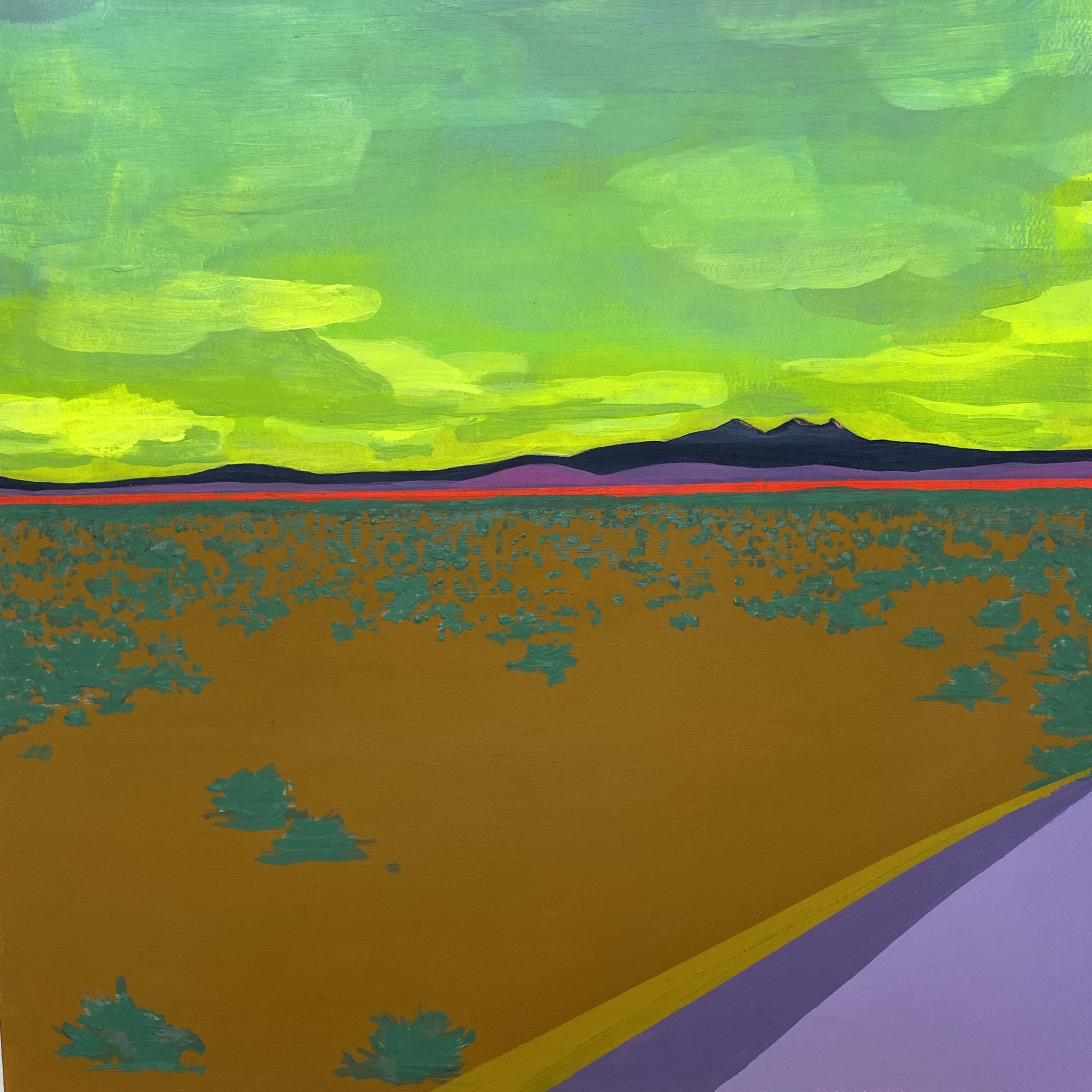 Neon Mesa Landscape 018.JPG