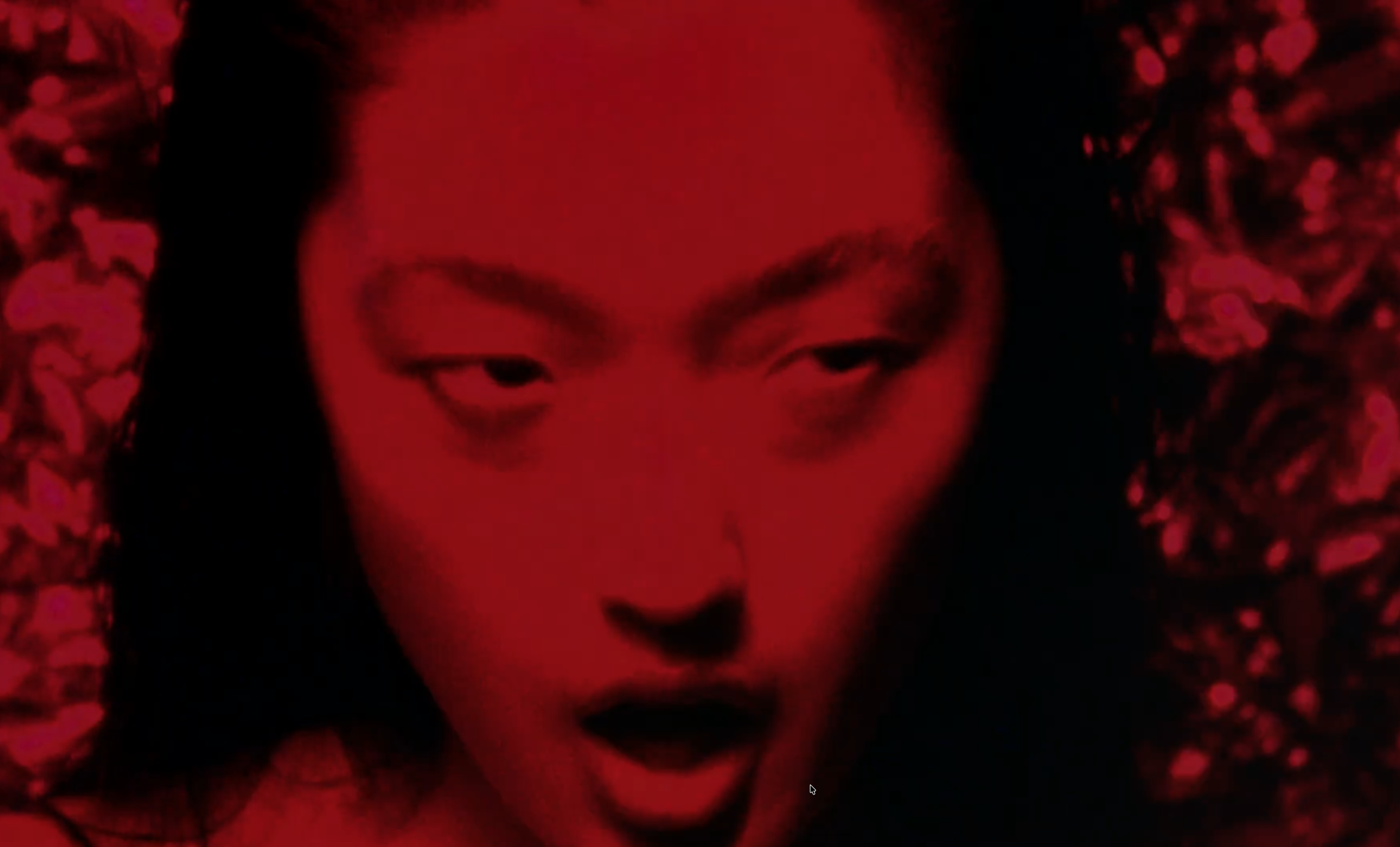 Screenshot 2026-02-17 at 17.33.56.png