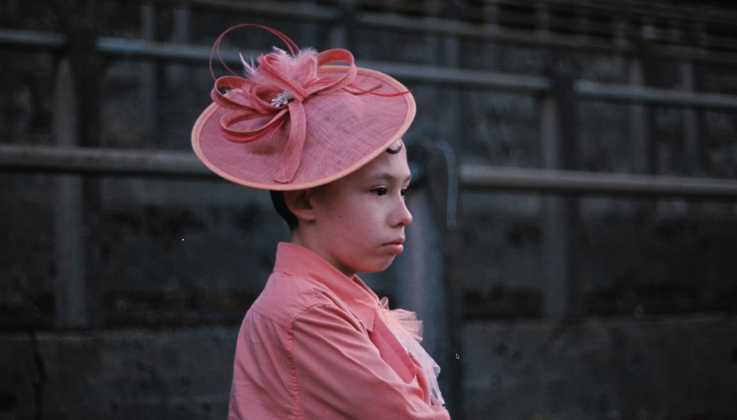 Screenshot 2026-02-17 at 17.05.06.png