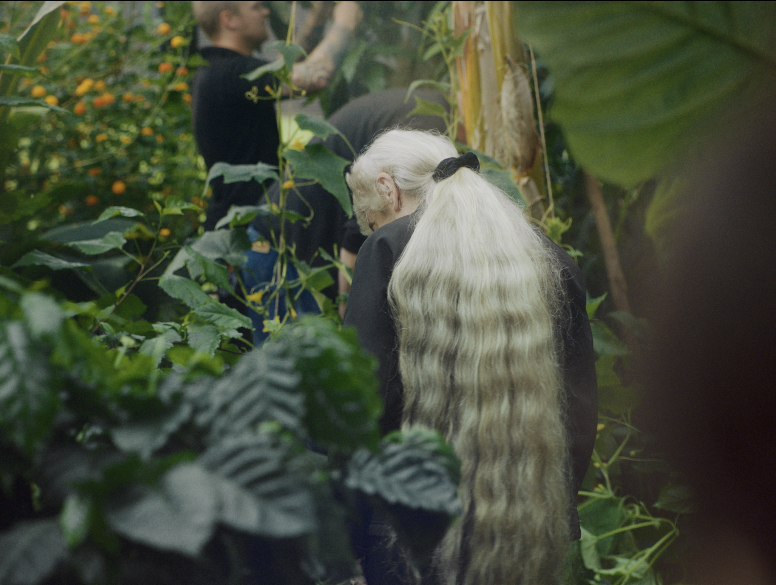 Screenshot 2026-02-16 at 21.54.41.png