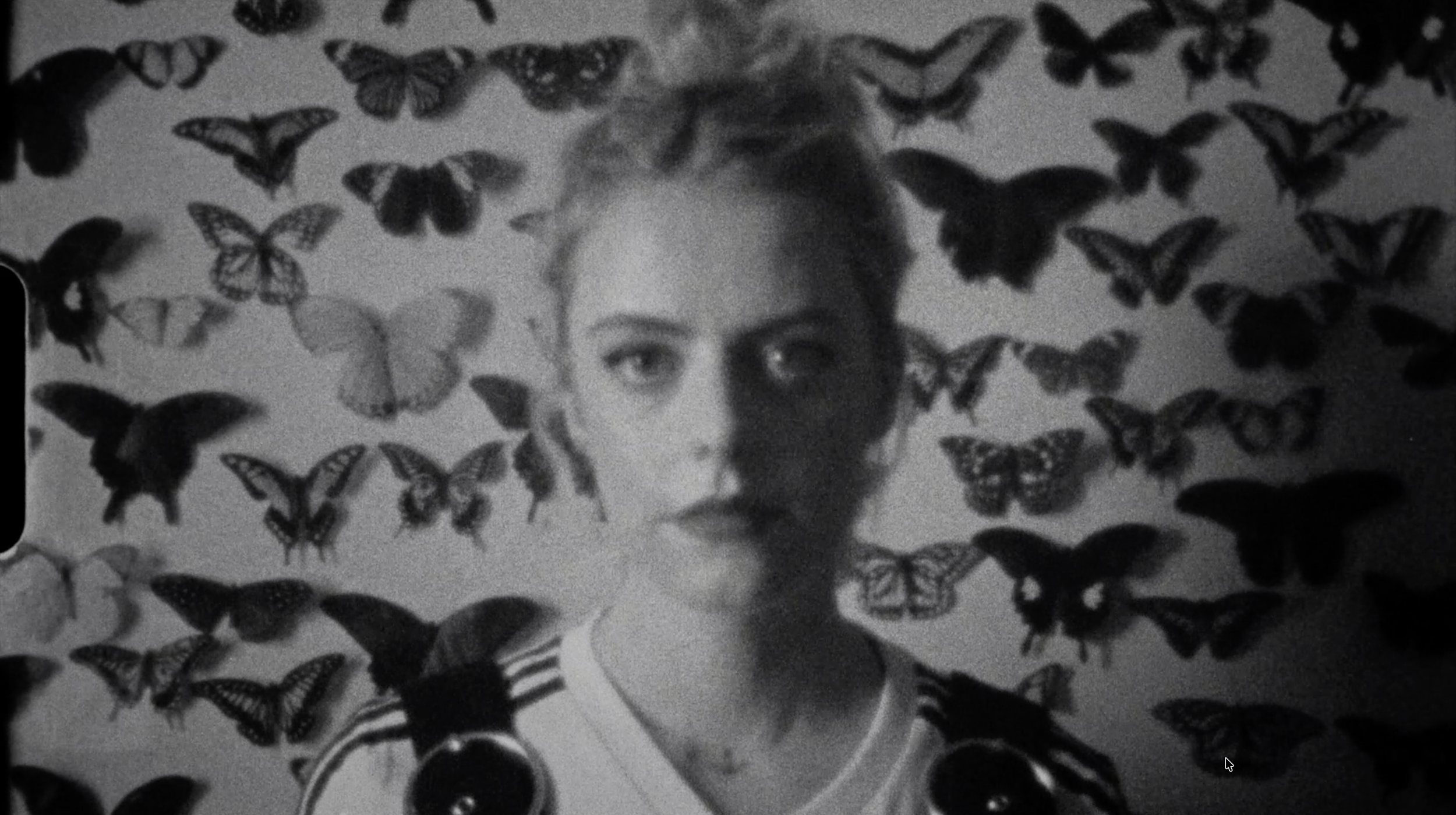 Screenshot 2026-02-17 at 00.31.34.png