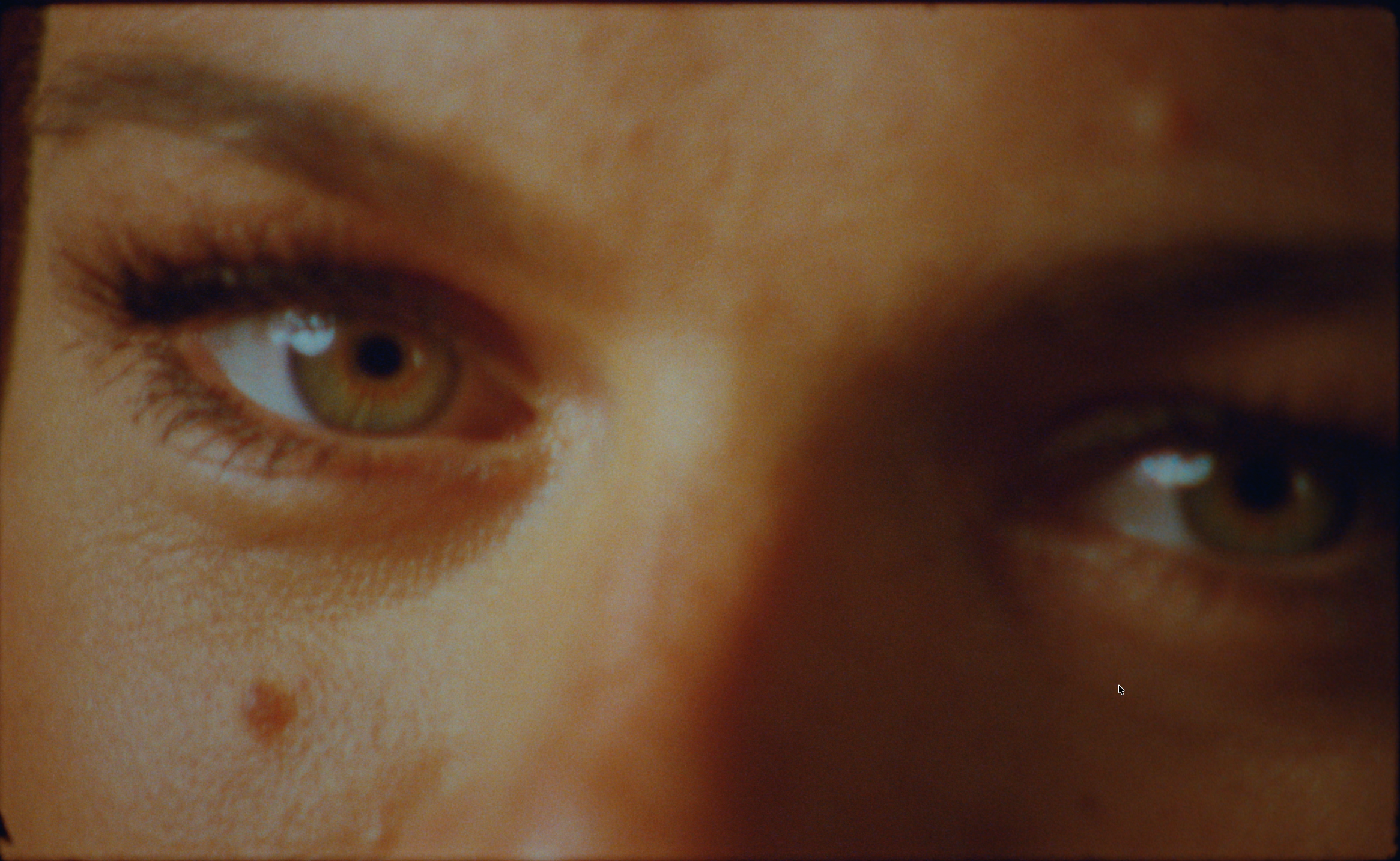 Screenshot 2026-02-17 at 19.02.04.png