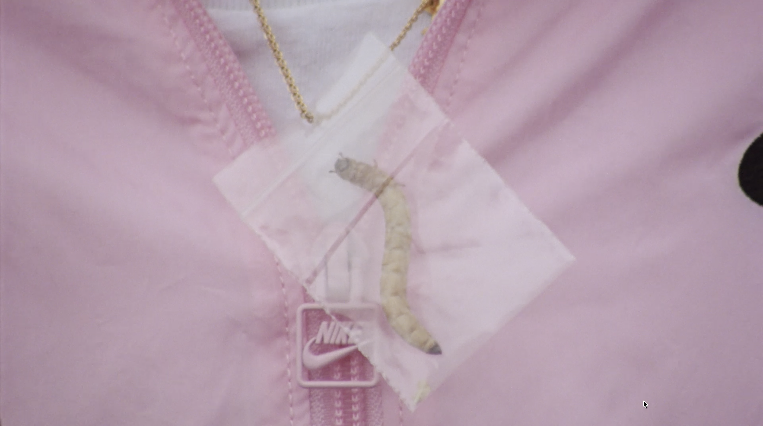 Screenshot 2026-02-17 at 21.52.55.png