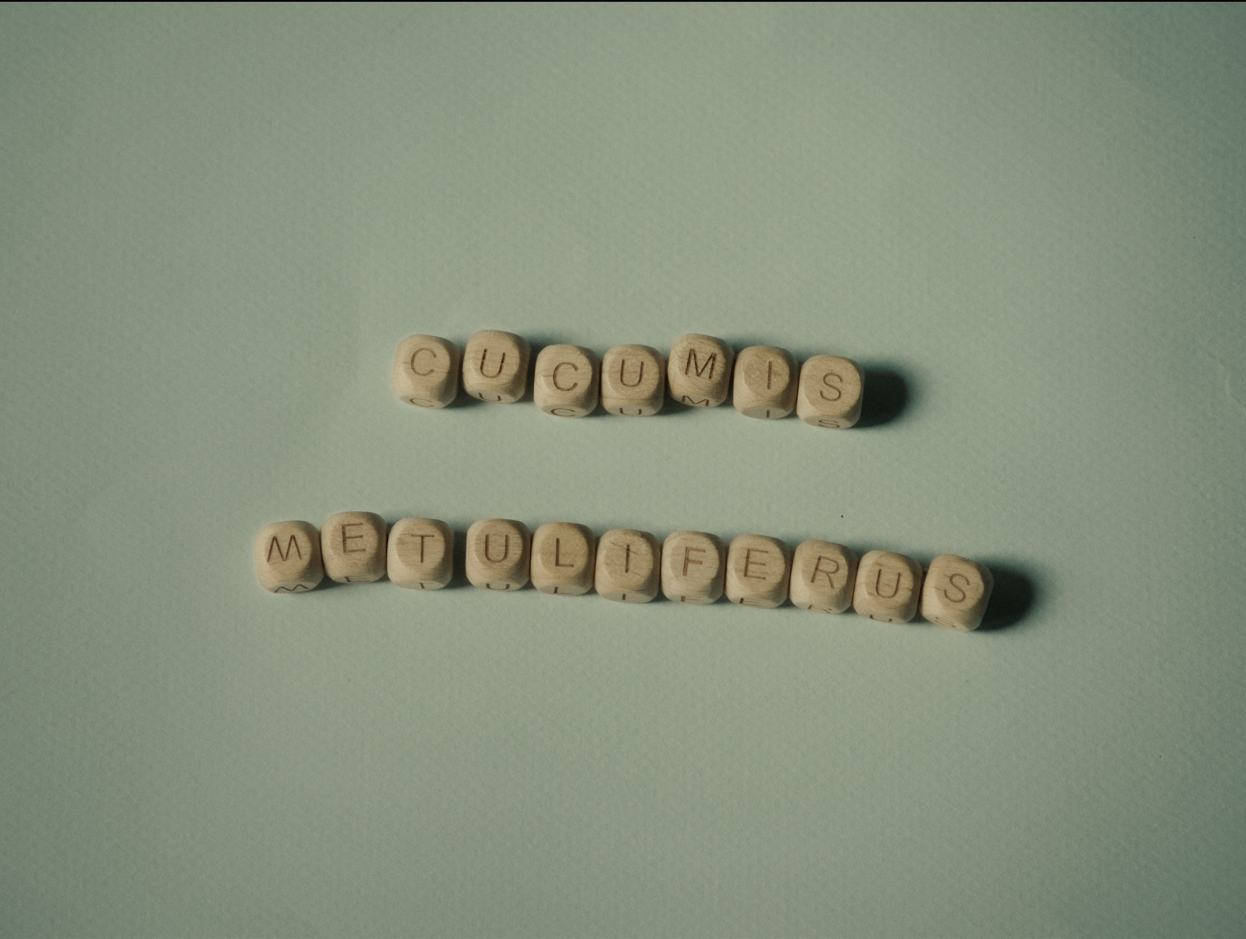 Screenshot 2026-02-16 at 21.54.17.png