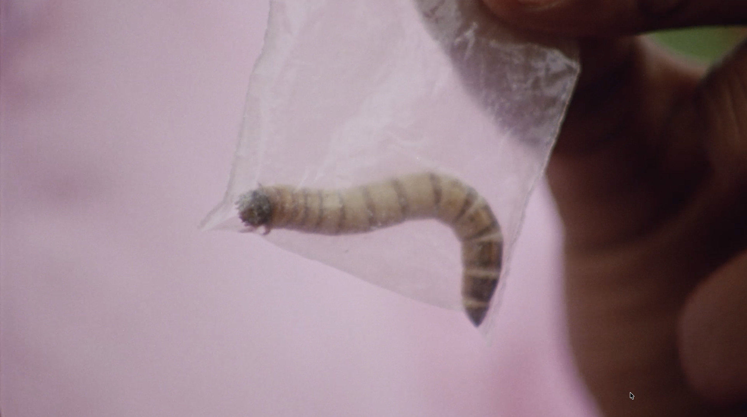 Screenshot 2026-02-17 at 21.53.17.png