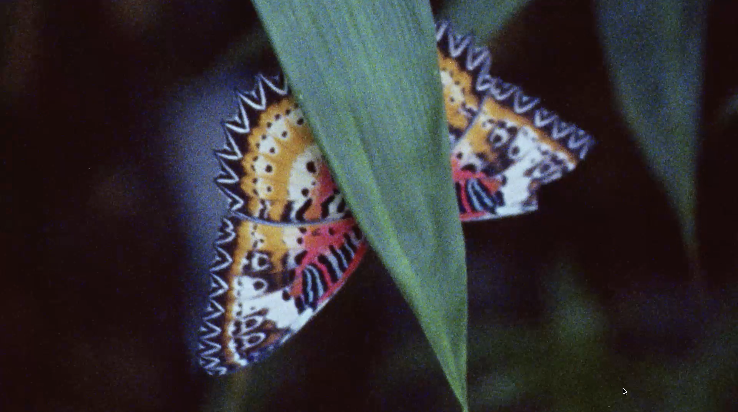 Screenshot 2026-02-17 at 21.56.05.png