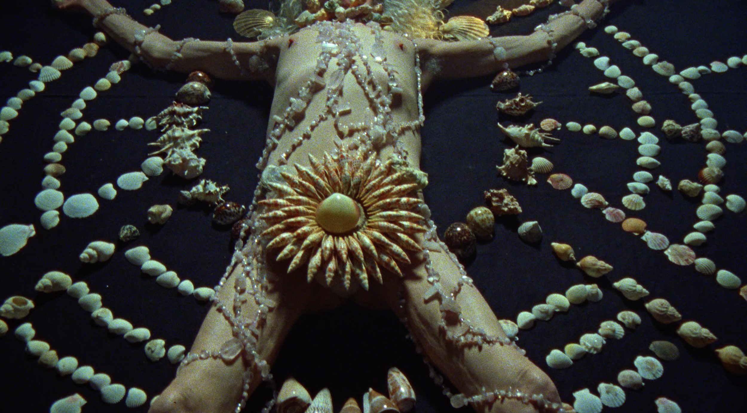 Screenshot 2026-02-15 at 21.44.10.png