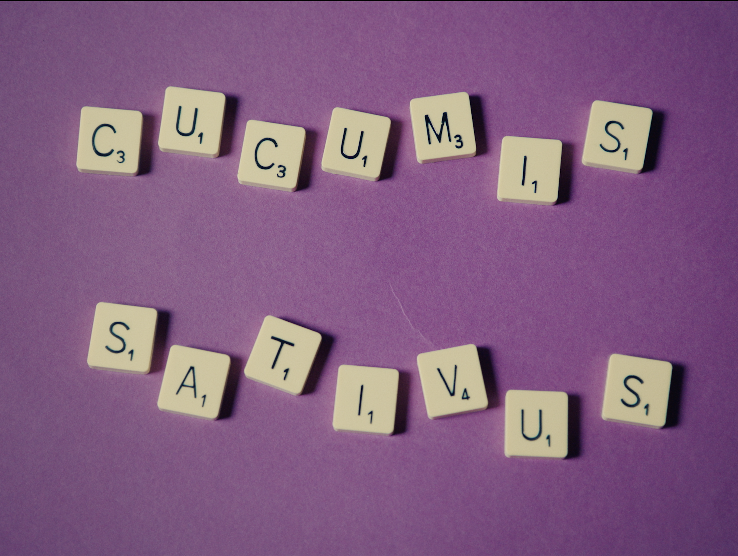 Screenshot 2026-02-16 at 21.54.08.png