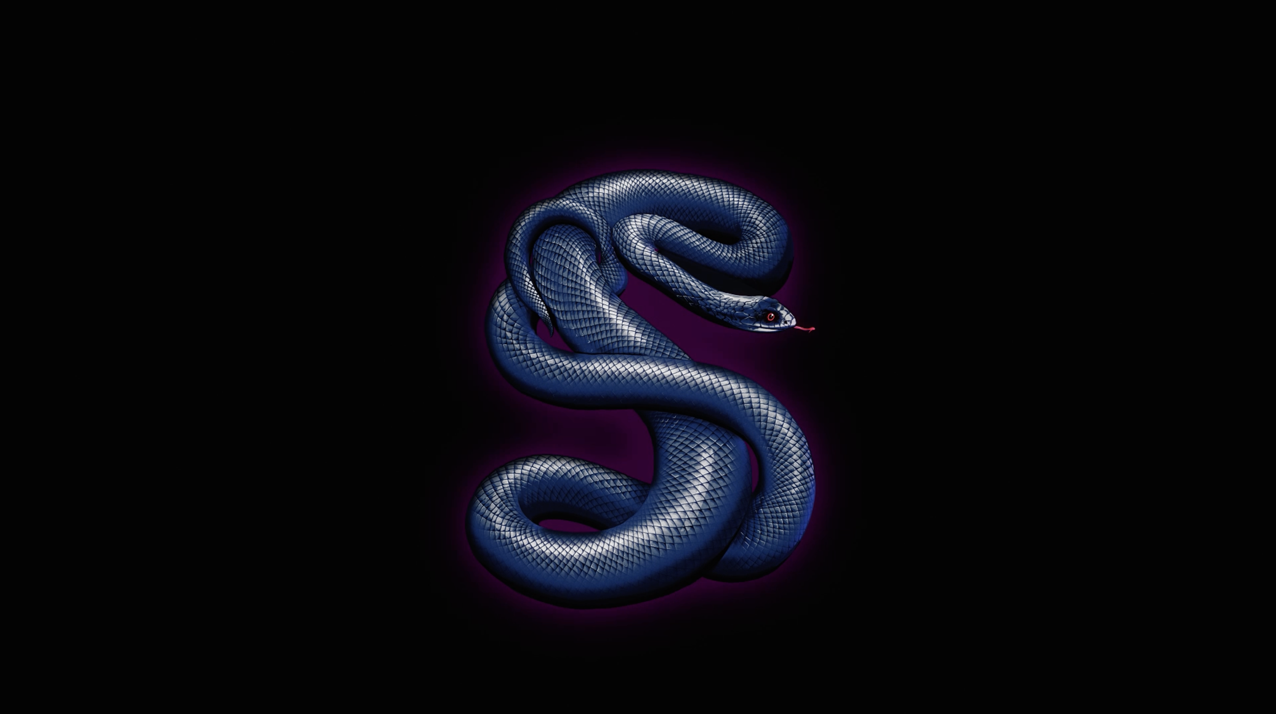 Screenshot 2026-02-16 at 01.23.09.png