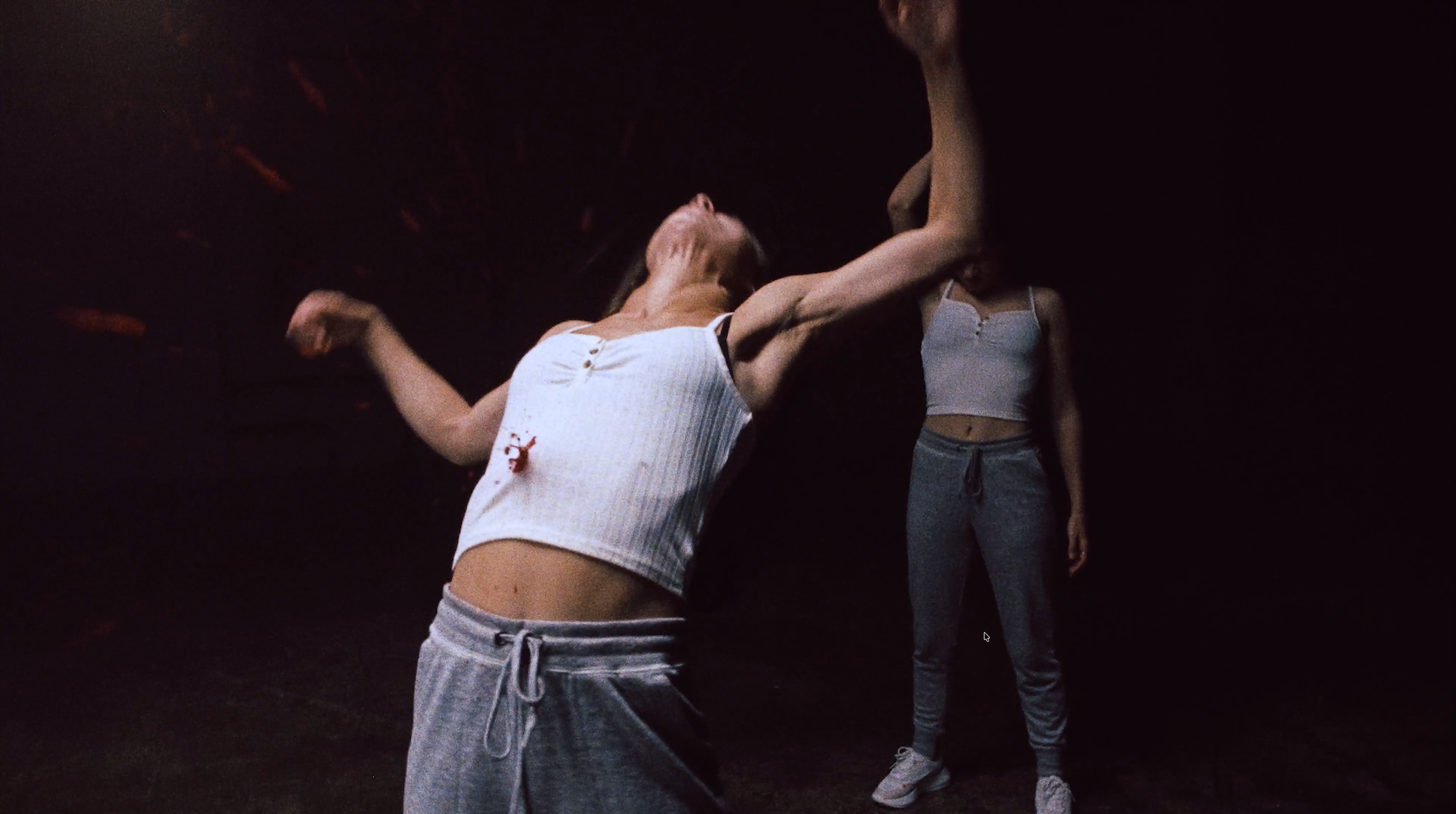 Screenshot 2026-02-17 at 19.50.54.png