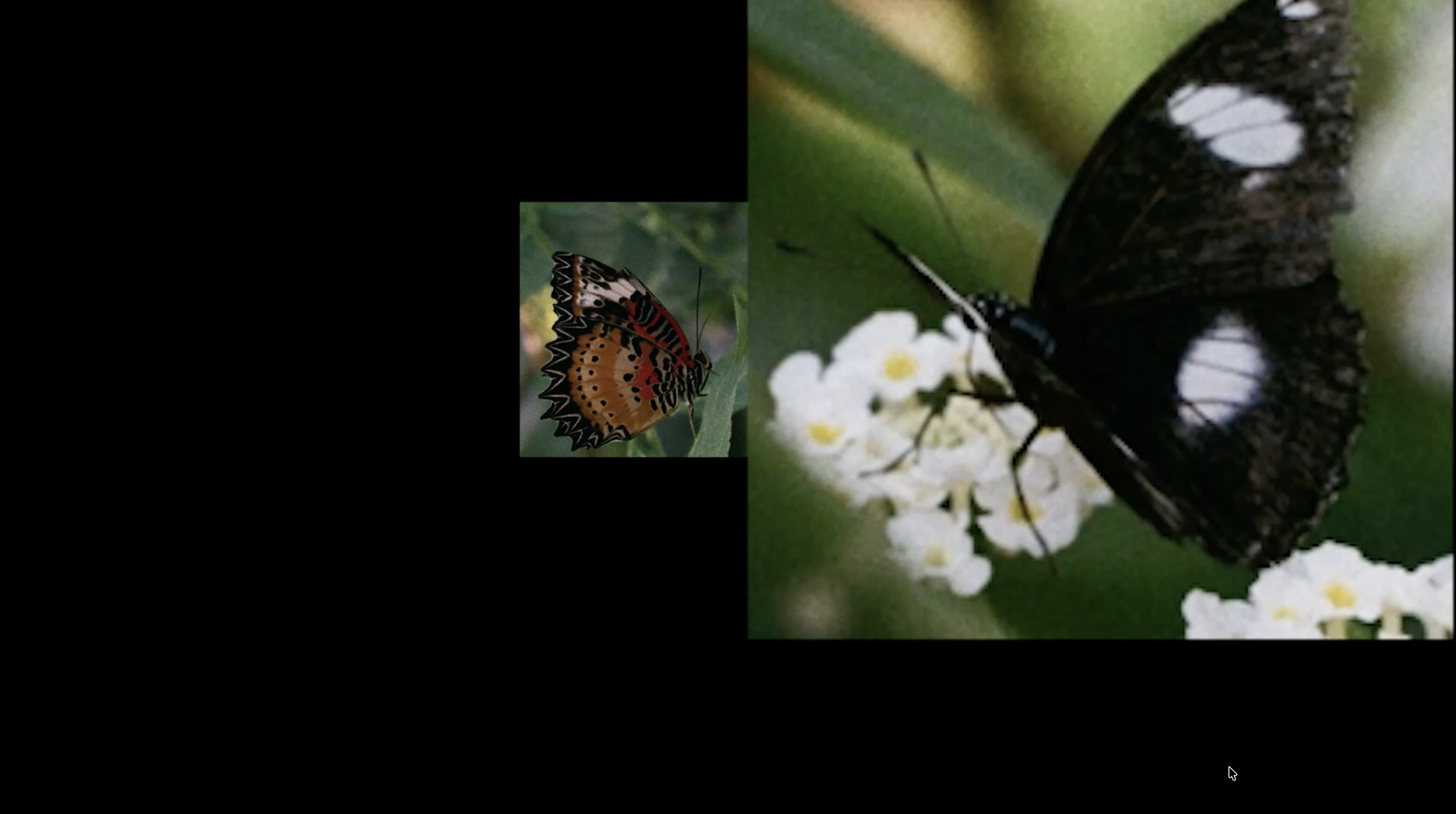 Screenshot 2026-02-17 at 21.56.17.png