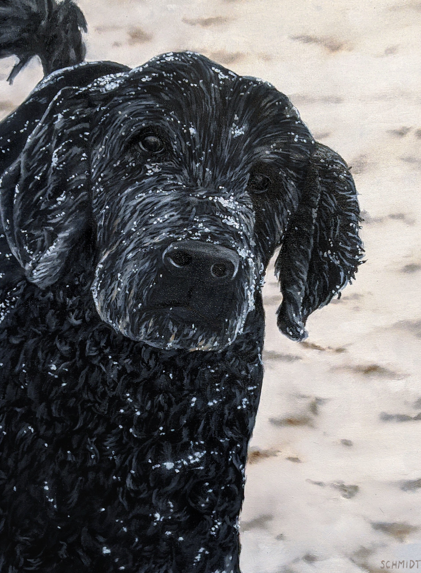 "Ozzy", oil on canvas, 18"x24", 2020
