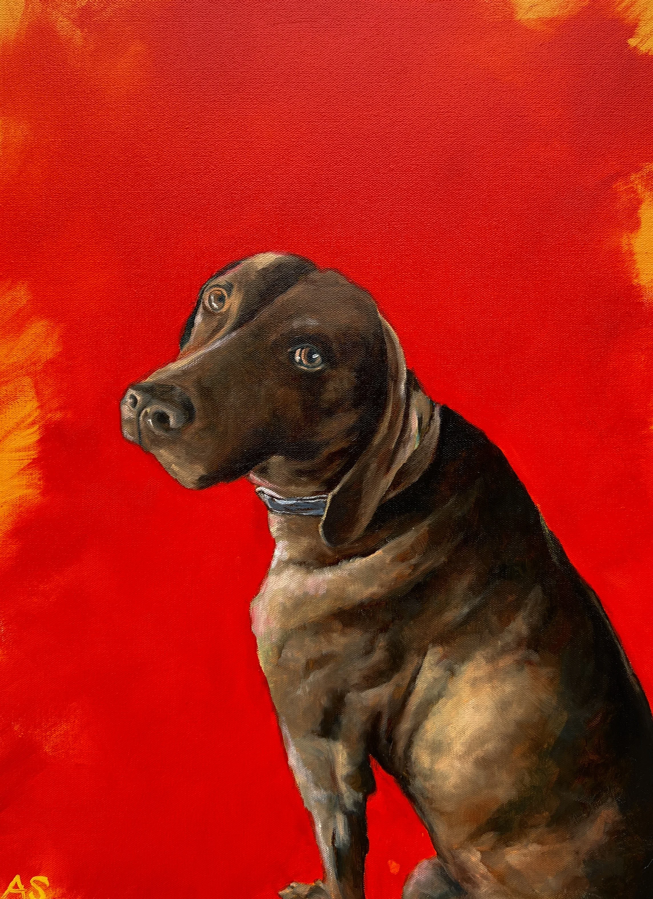 Dogs